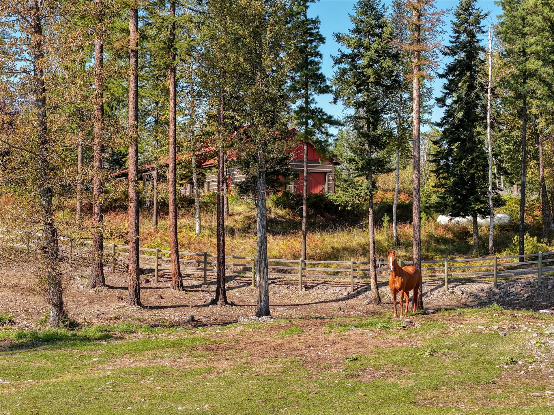 622 Wild Swan Trail, Bigfork, MT 59911 Set up for horses including split rail fencing, two corrals/paddock areas