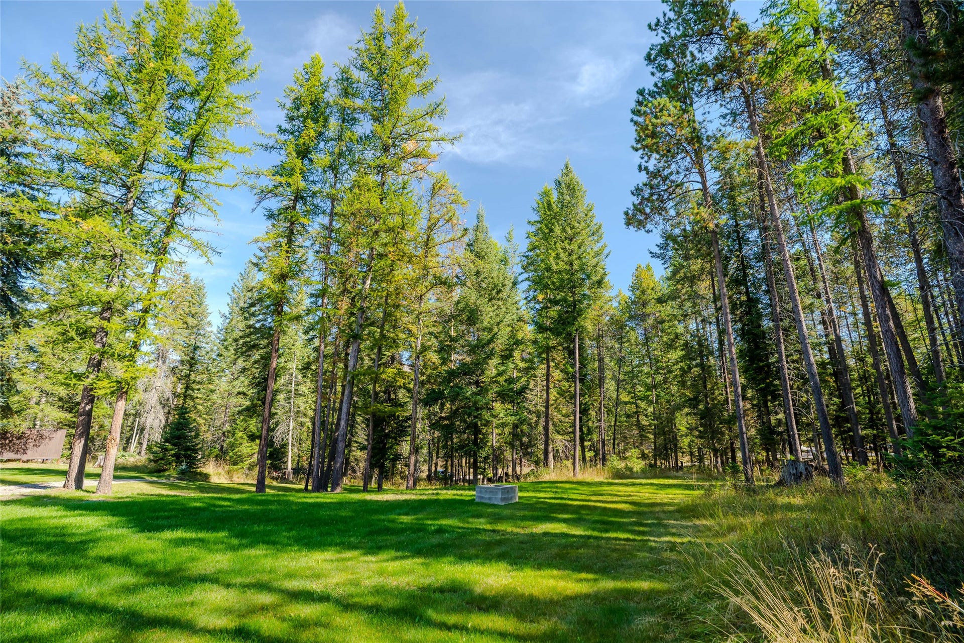 4926 Foothill Road, Bigfork, MT 59911 Yard with the perfect blend of sunshine and shade