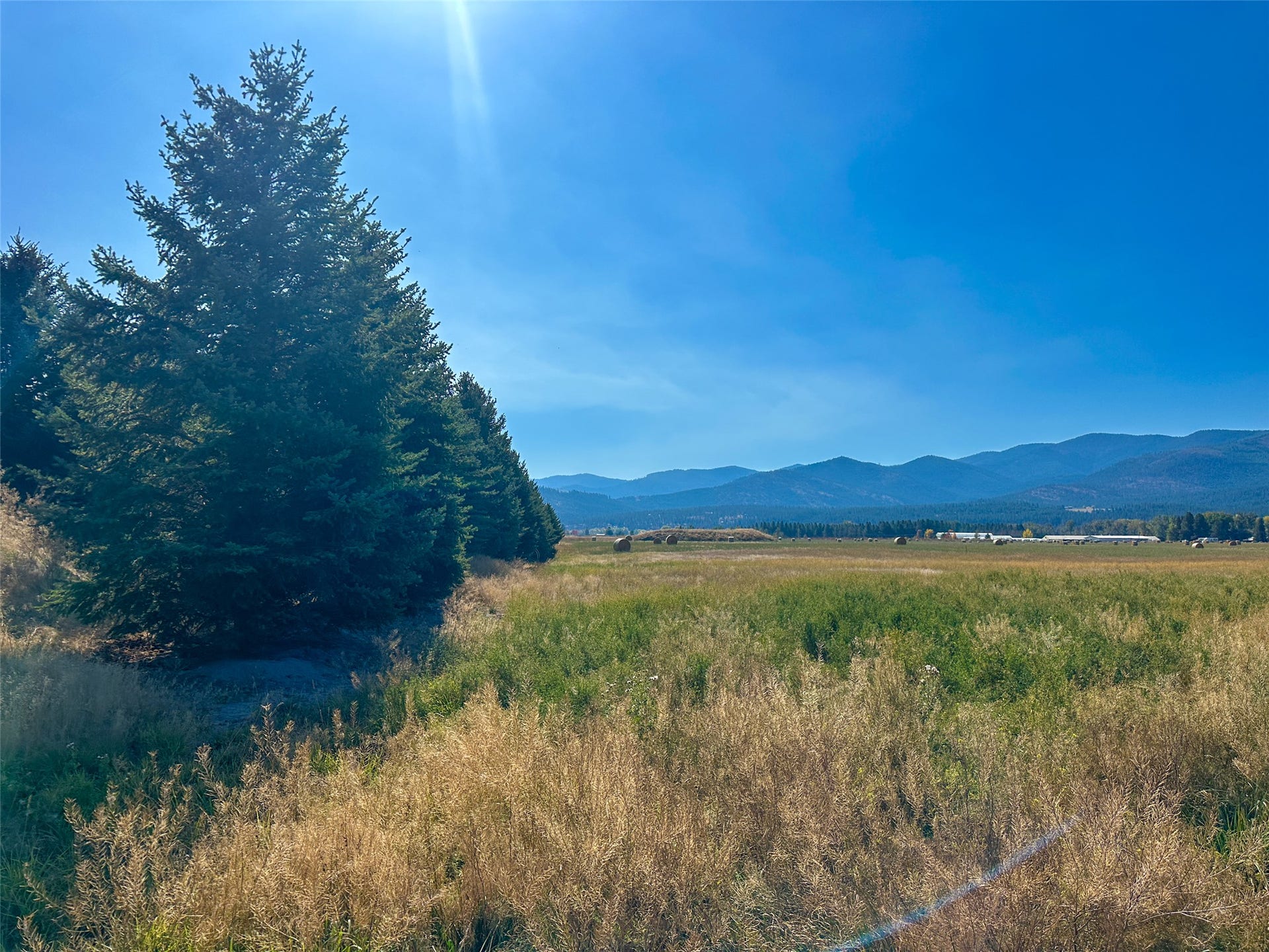 NHN Picea Place, #Lot 12, Plains, MT 59859