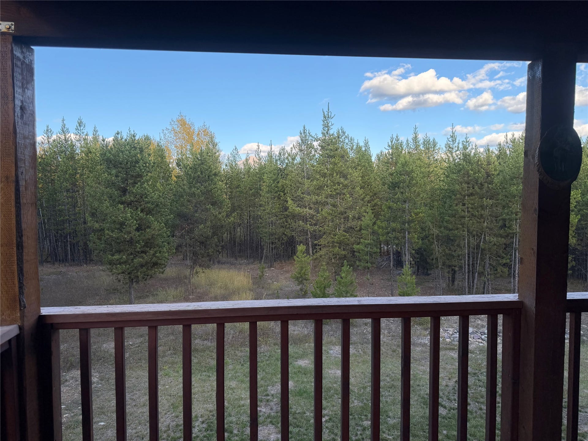10601 North Fork Road, Polebridge, MT 59928 View from Deck
