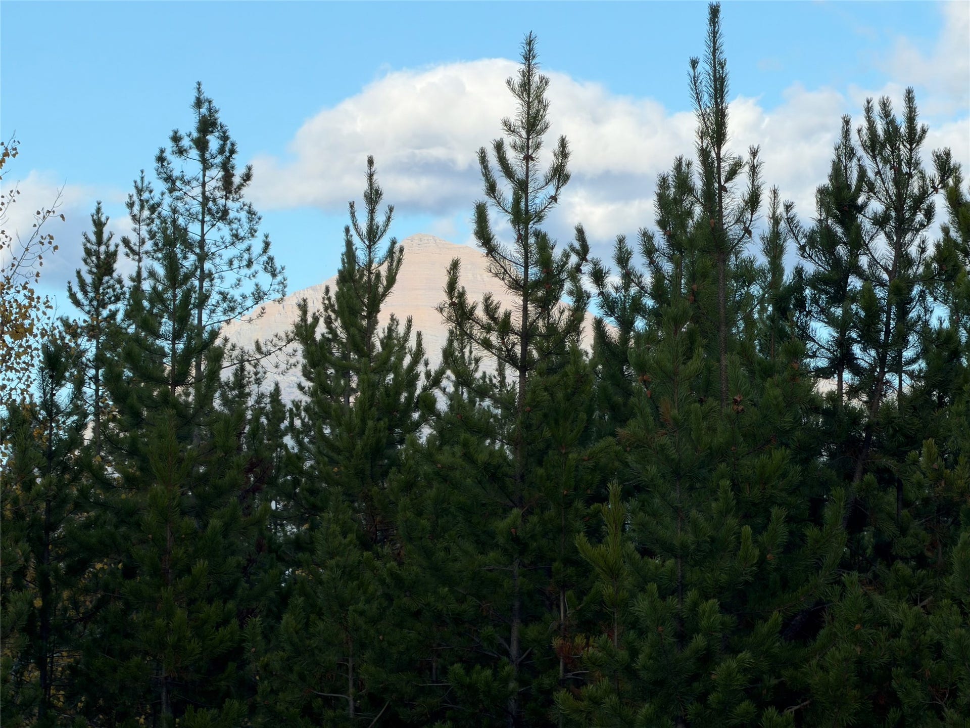 10601 North Fork Road, Polebridge, MT 59928 View Closeup