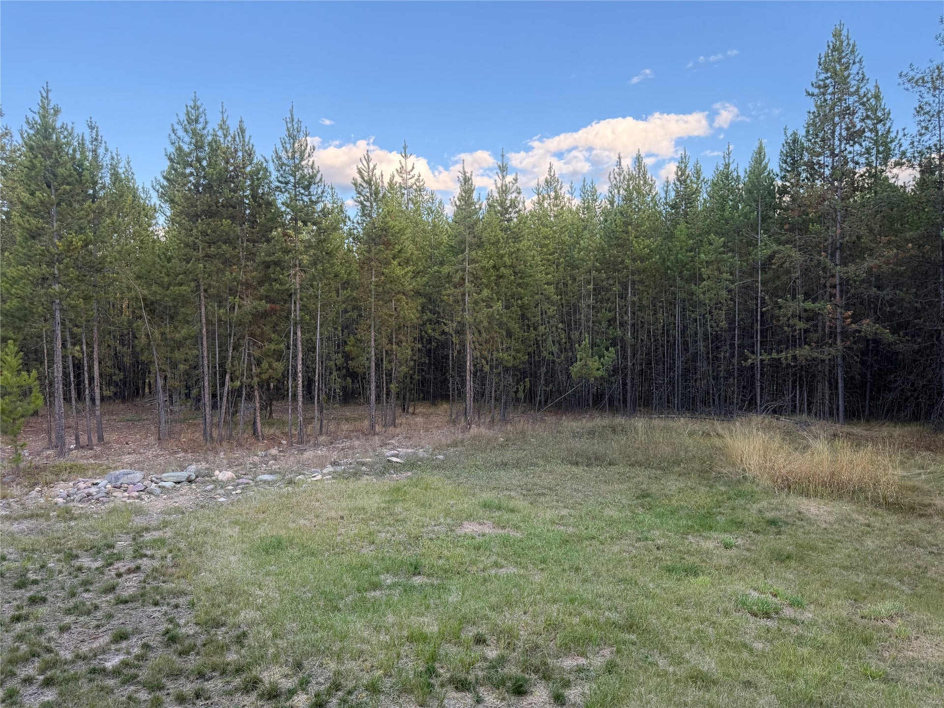 10601 North Fork Road, Polebridge, MT 59928 Yard
