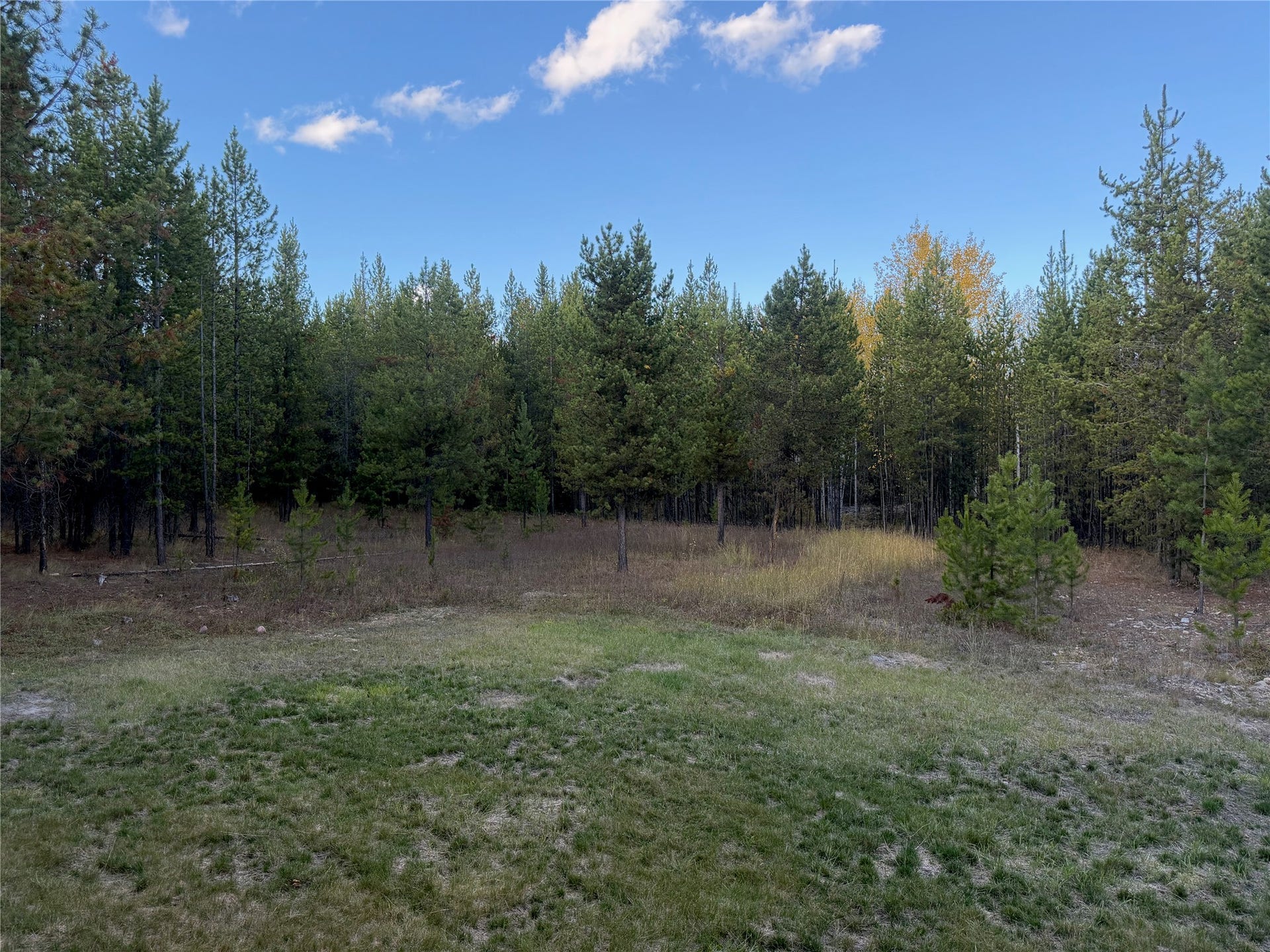 10601 North Fork Road, Polebridge, MT 59928 Yard