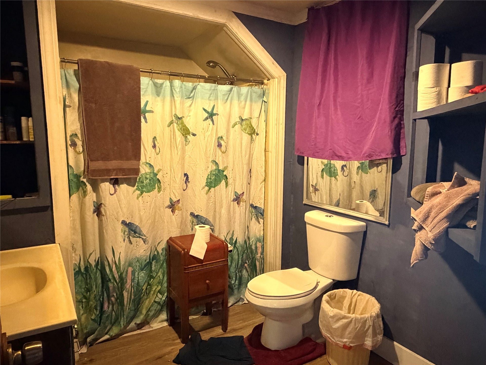 208 E Meany Street, Plains, MT 59859