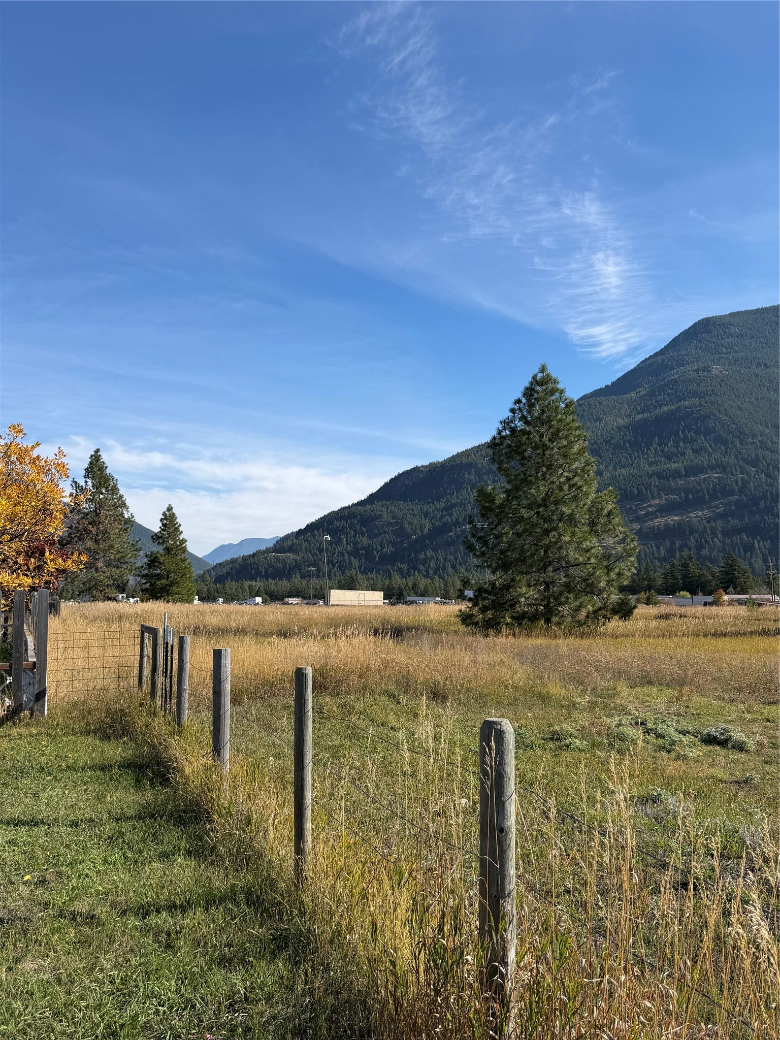 386 Gordon Avenue, Columbia Falls, MT 59912 386 Gordon Avenue, Columbia Falls, MT 59912
