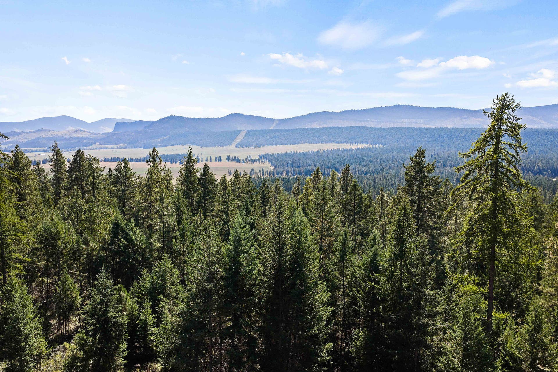 19605 Bower Lane, Proctor, MT 59929 View from Deck