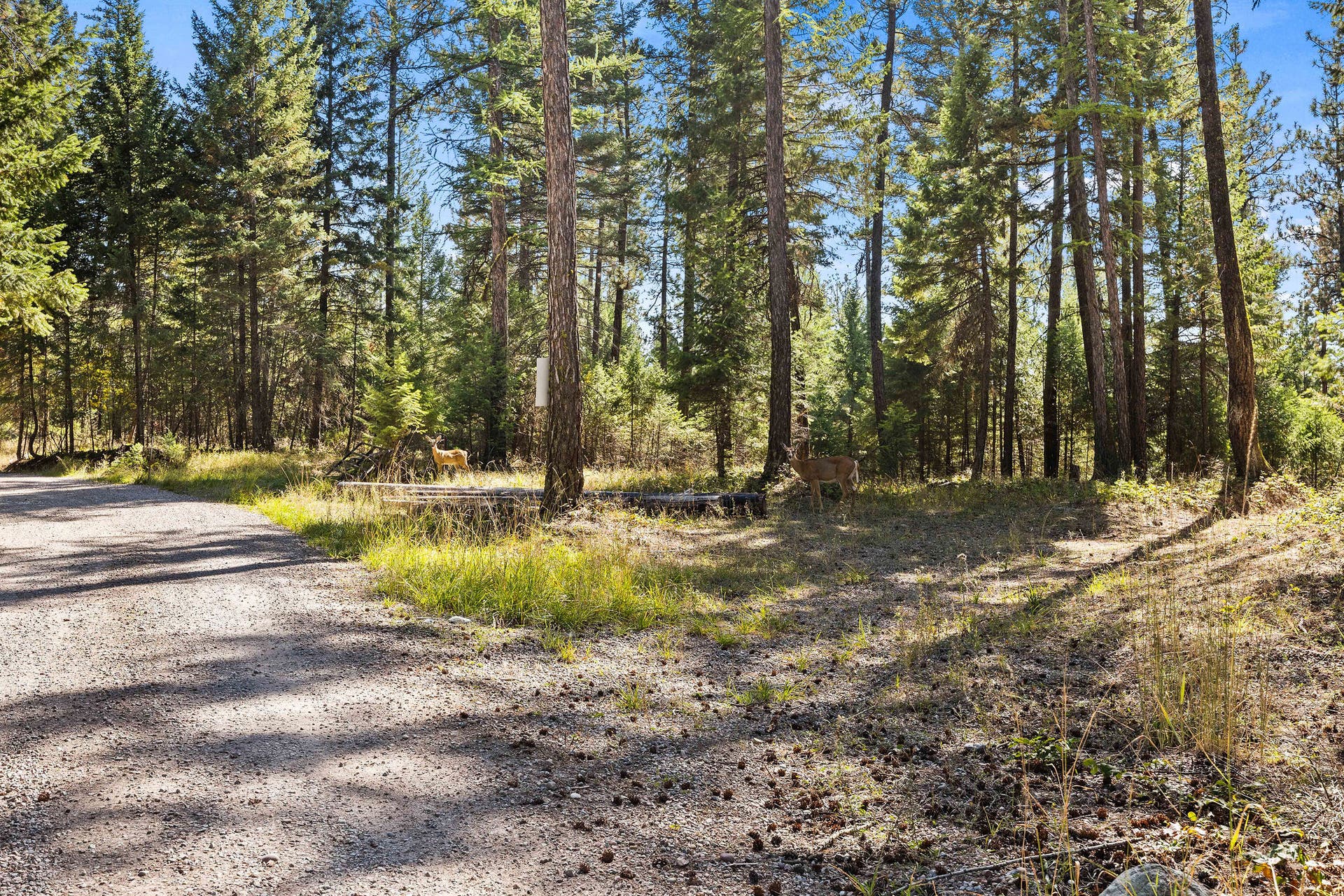 19605 Bower Lane, Proctor, MT 59929 19605 Bower Lane, Proctor, MT 59929