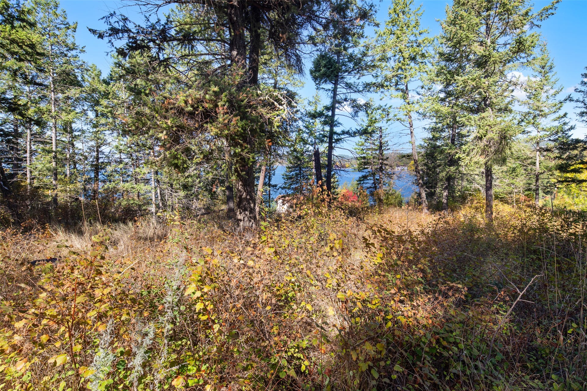 142 Whisper Ridge Drive, Bigfork, MT 59911 mature trees/ Flathead Lake views