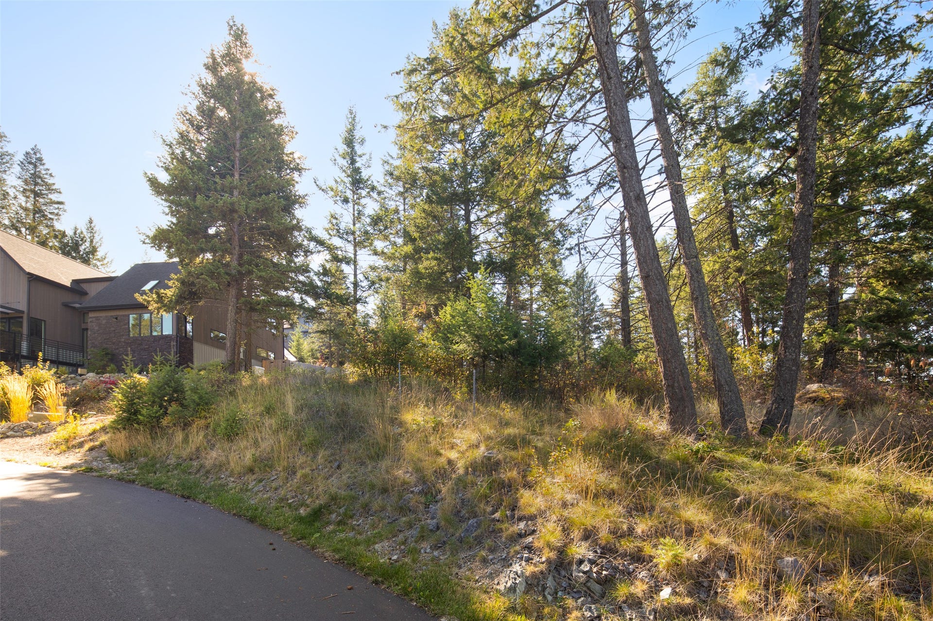 142 Whisper Ridge Drive, Bigfork, MT 59911 mature trees / parked out