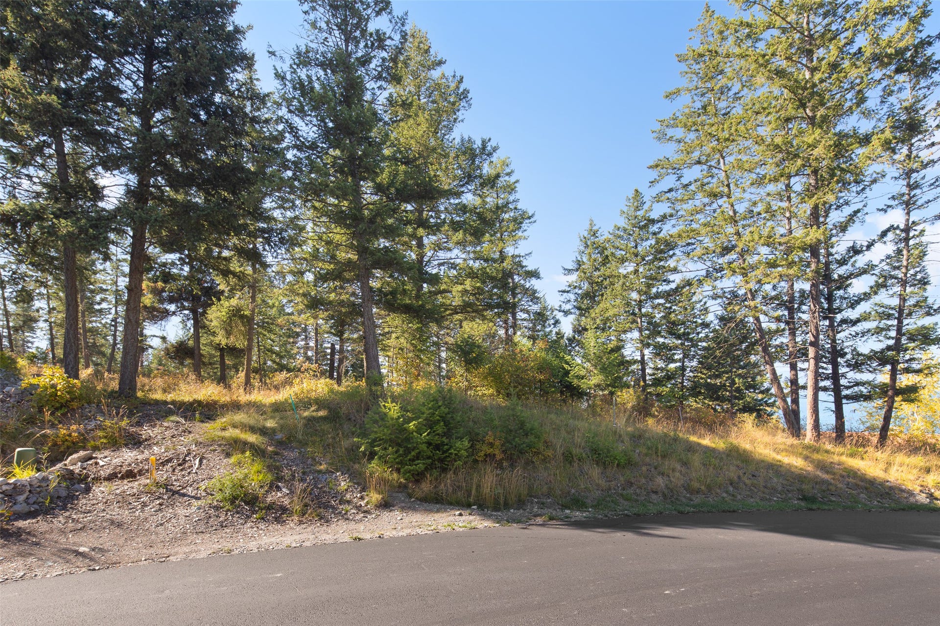 142 Whisper Ridge Drive, Bigfork, MT 59911 mature trees