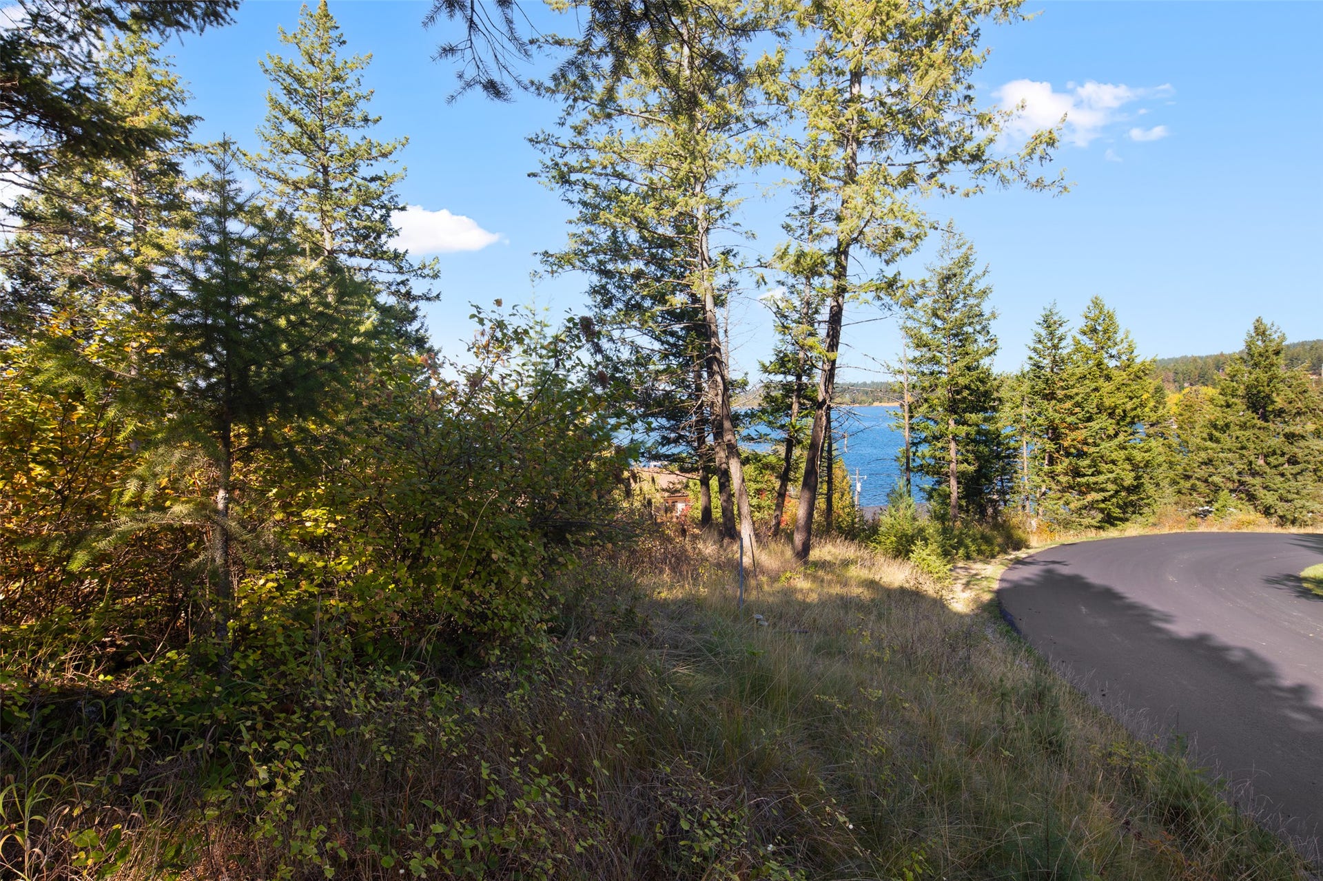 142 Whisper Ridge Drive, Bigfork, MT 59911 Flathead Lake views from lot