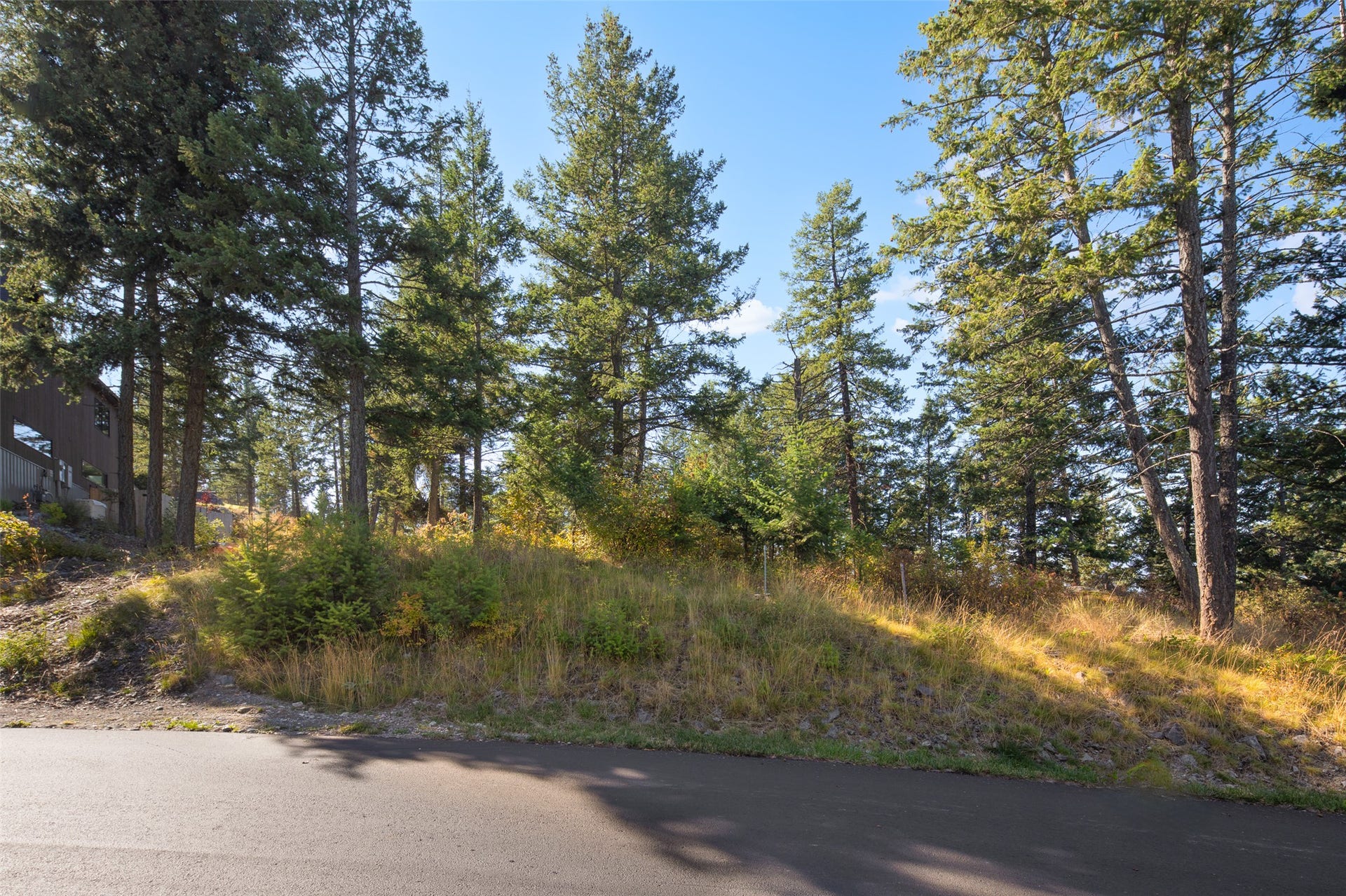 142 Whisper Ridge Drive, Bigfork, MT 59911 mature trees / parked out