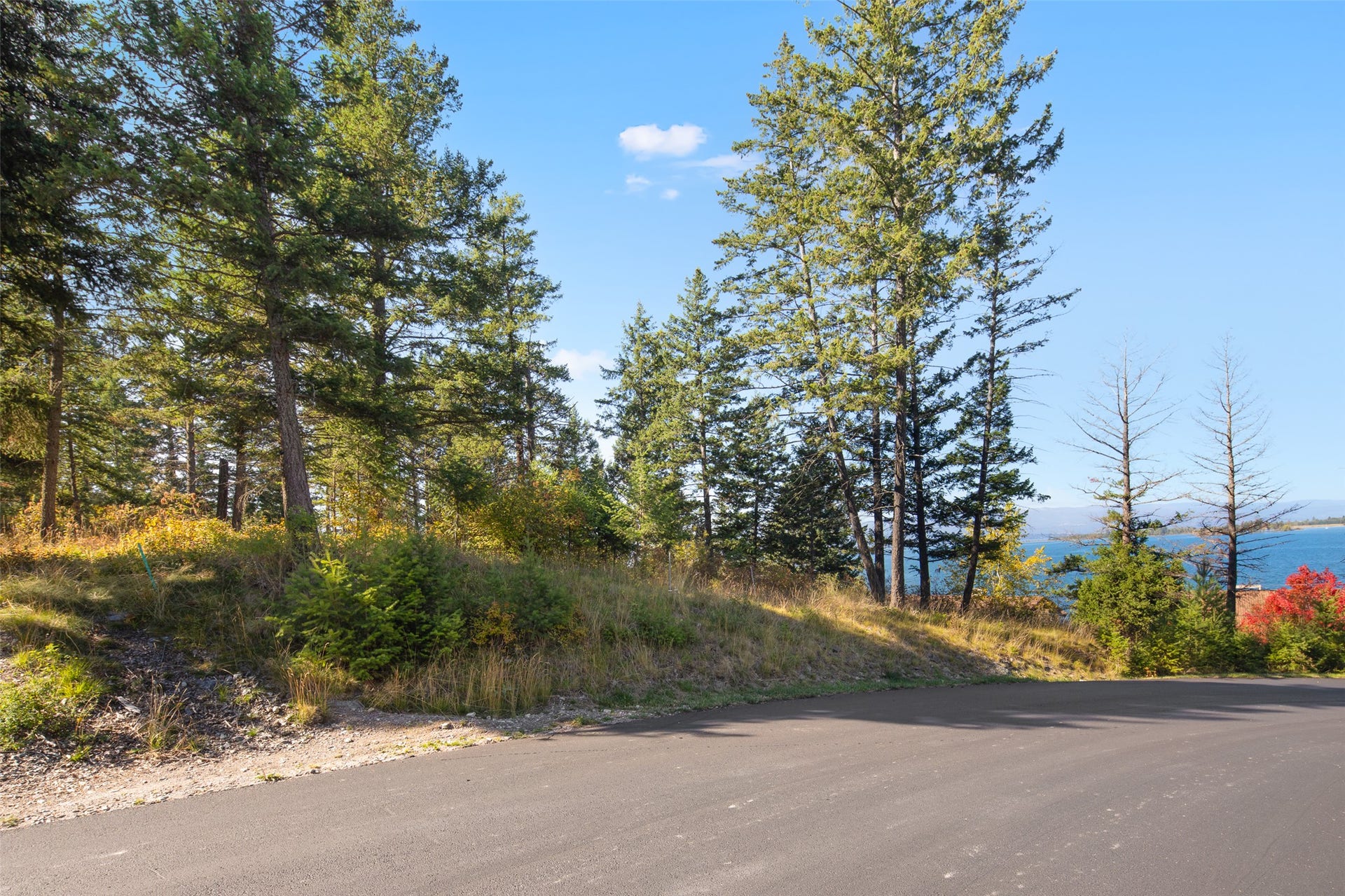 142 Whisper Ridge Drive, Bigfork, MT 59911 Flathead Lake views