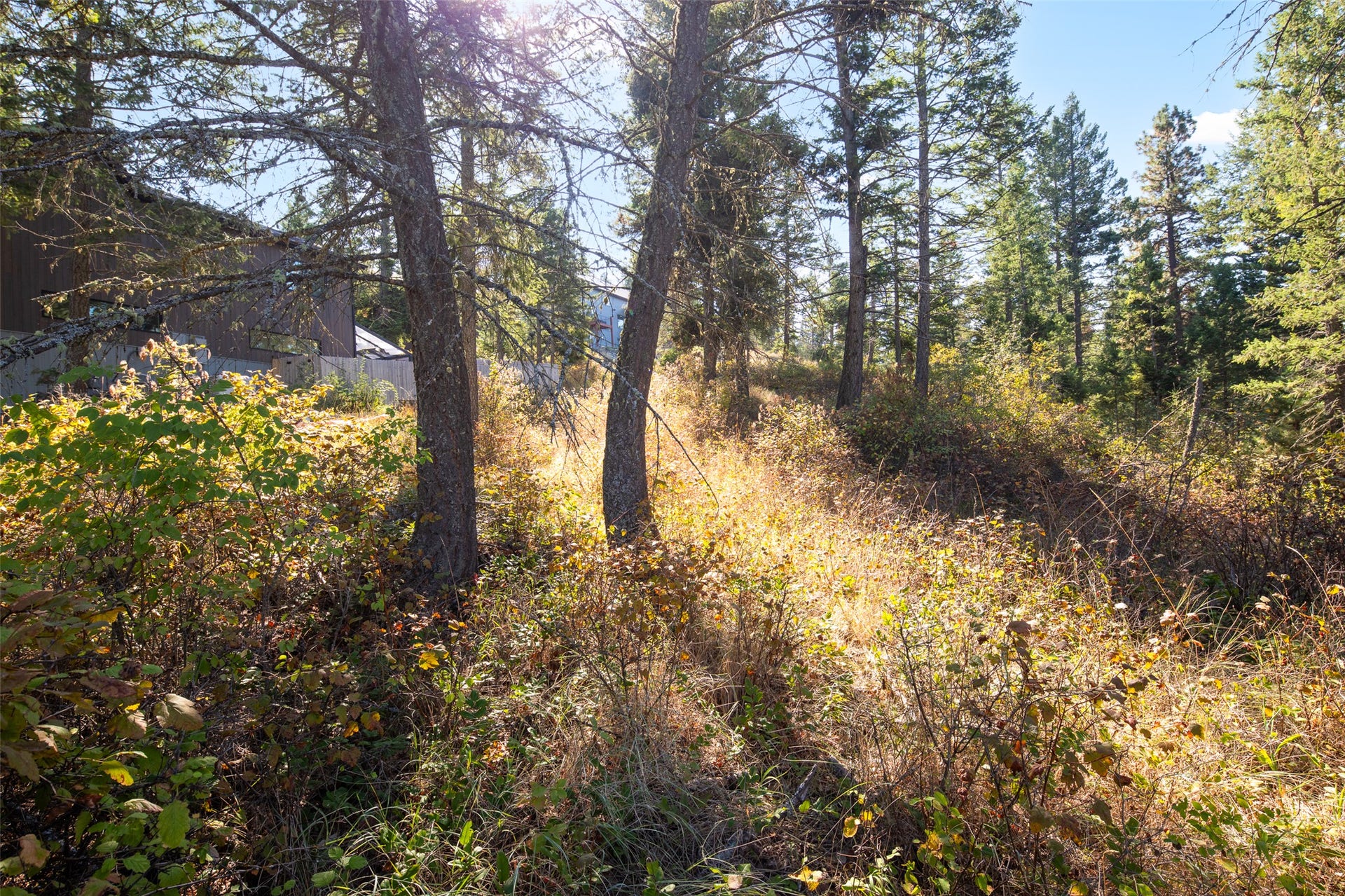 142 Whisper Ridge Drive, Bigfork, MT 59911 natural landscape