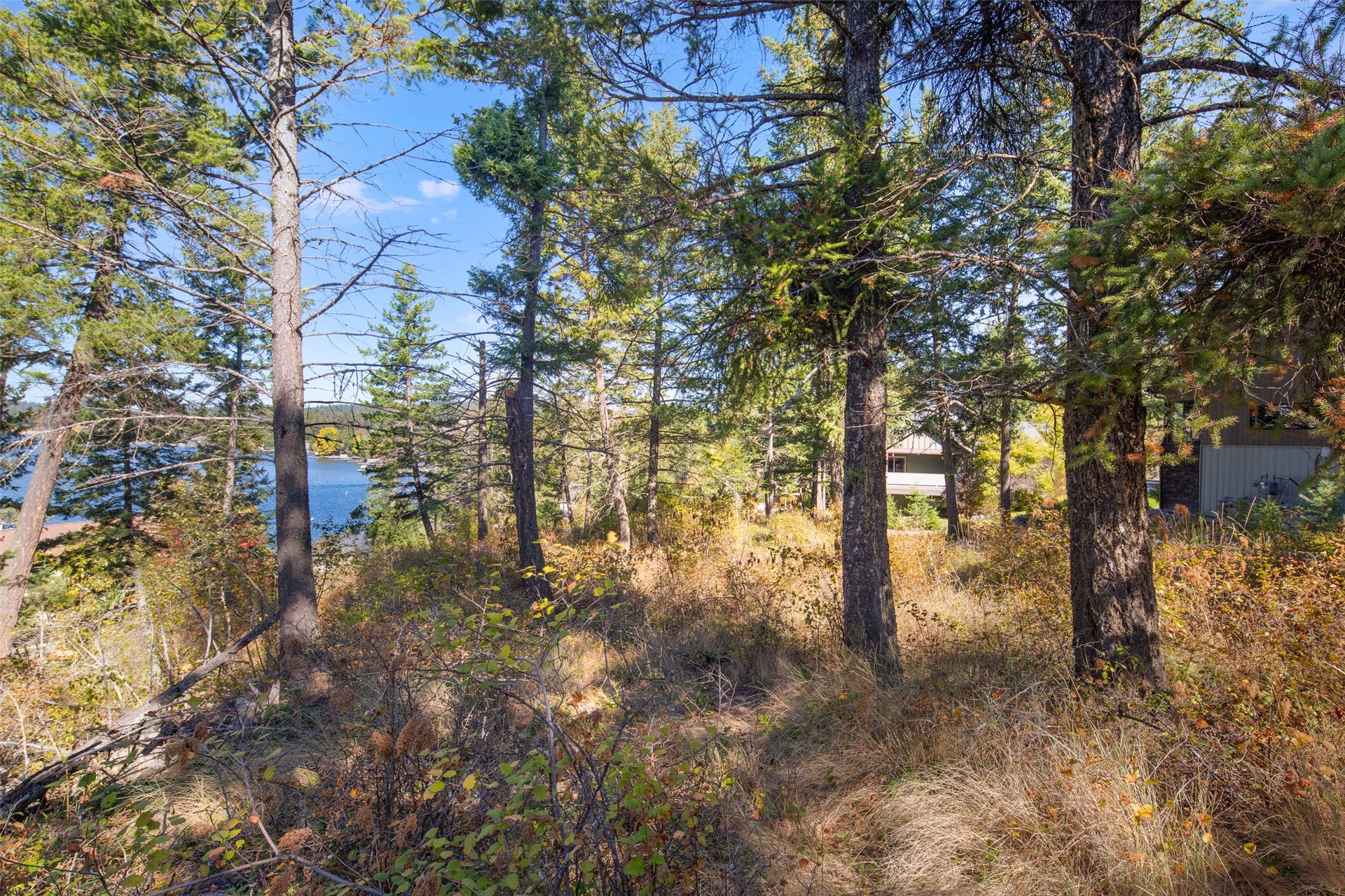 142 Whisper Ridge Drive, Bigfork, MT 59911 Flathead Lake views