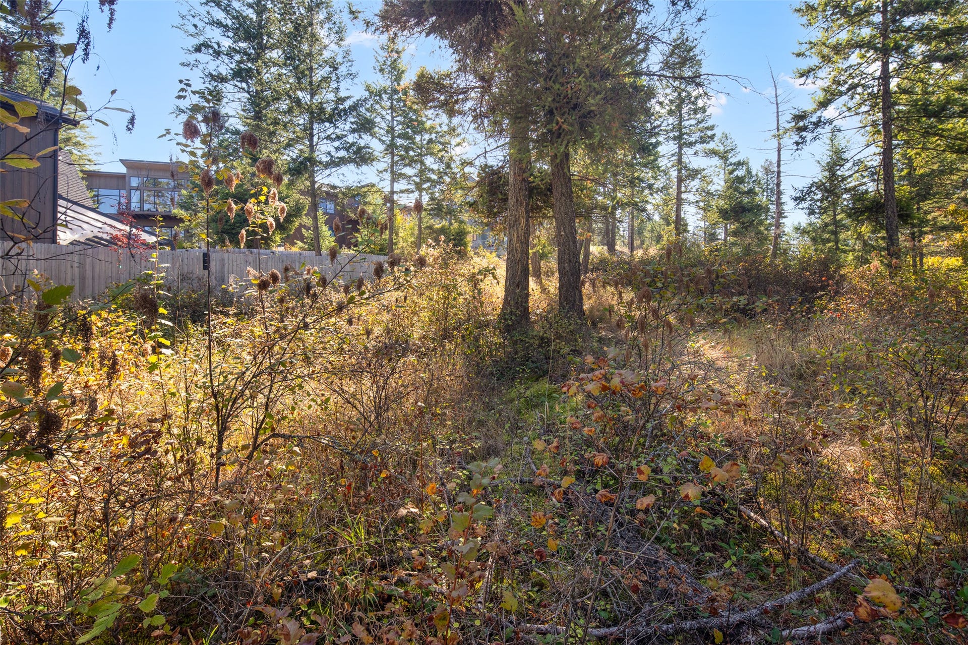 142 Whisper Ridge Drive, Bigfork, MT 59911 natural landscape