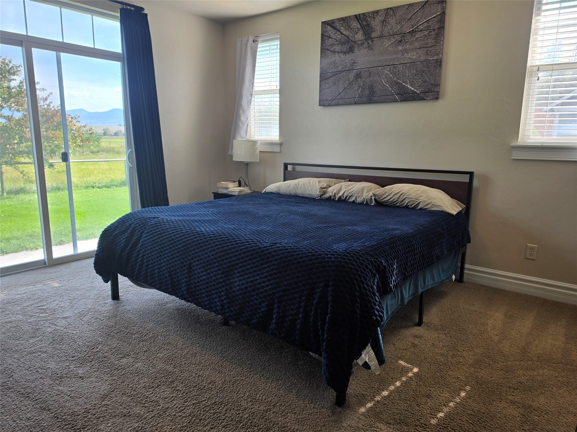 585 Wildflower Circle, Hamilton, MT 59840 Bright master bedroom with expansive windows framing pastoral landscape views, neutral wall finishes, and carpet flooring throughout