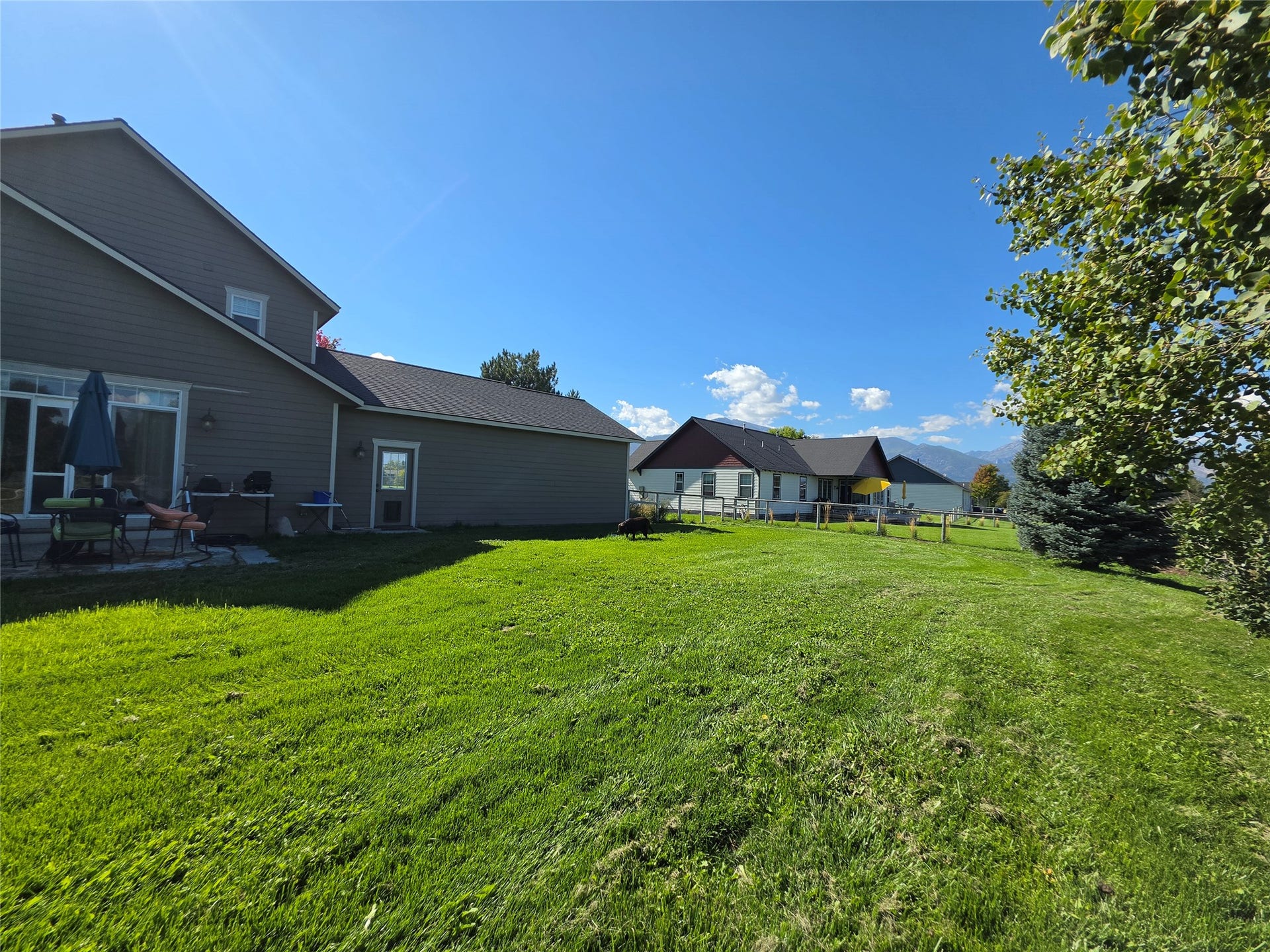 585 Wildflower Circle, Hamilton, MT 59840 Expansive backyard featuring a large grass lawn, mature trees, and a mountain backdrop