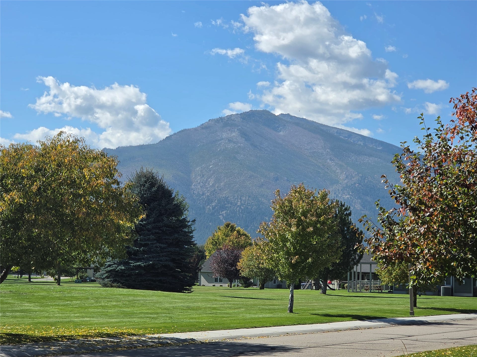 585 Wildflower Circle, Hamilton, MT 59840 Expansive green space featuring mature trees and mountain backdrop