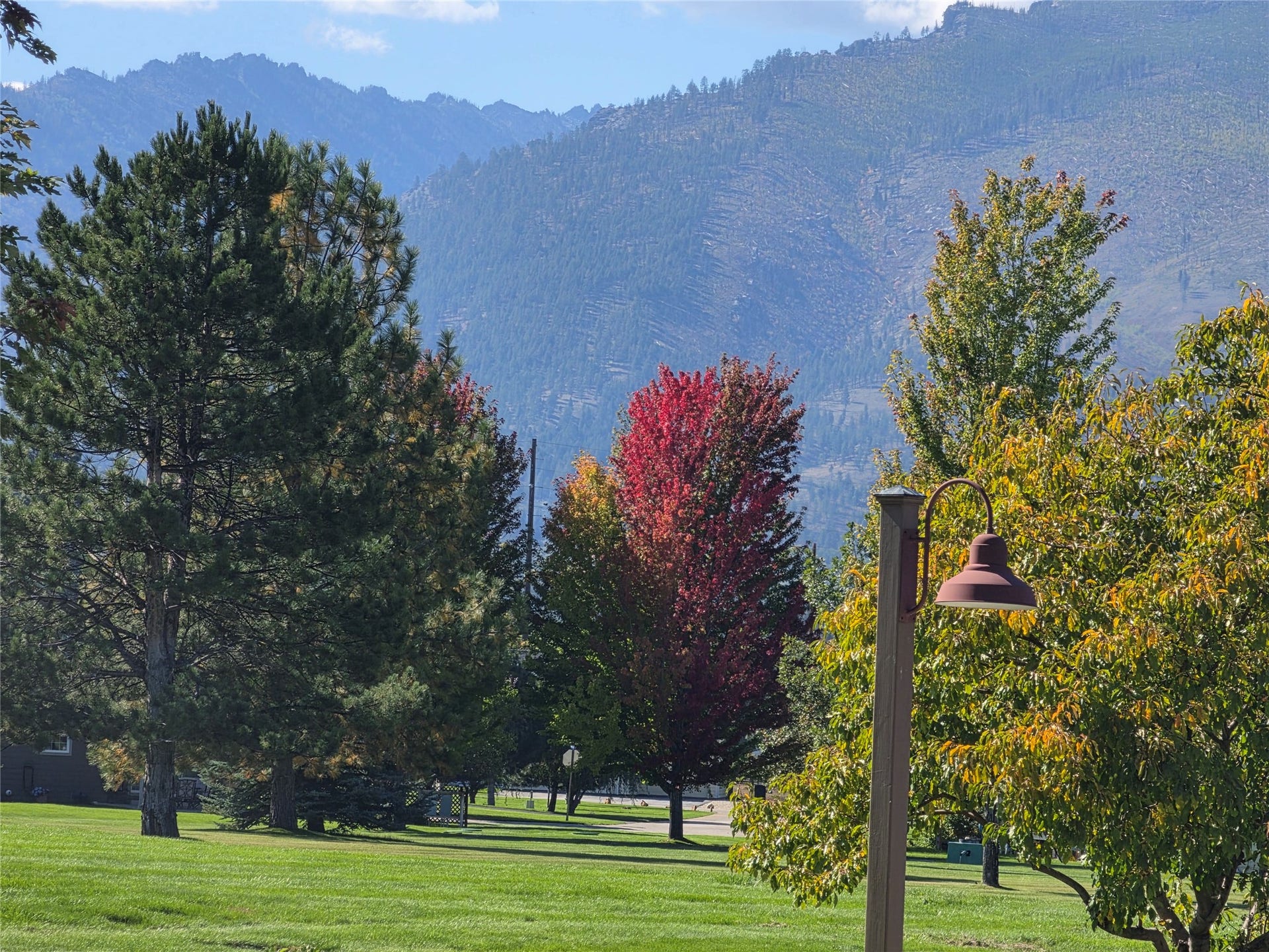 585 Wildflower Circle, Hamilton, MT 59840 Expansive green lawn with mature trees and a mountain backdrop