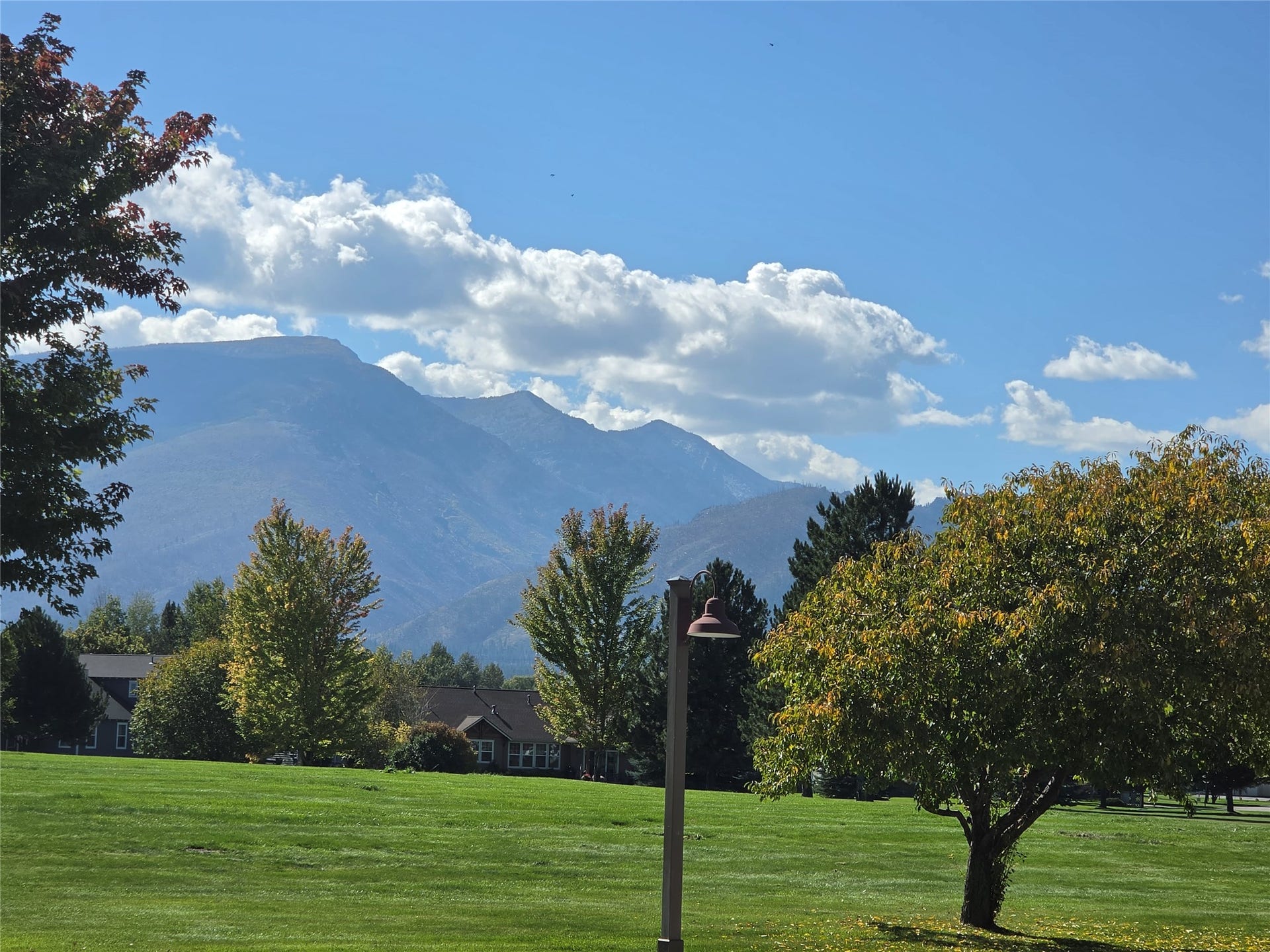 585 Wildflower Circle, Hamilton, MT 59840 Expansive green lawn with mature trees and mountain scenery