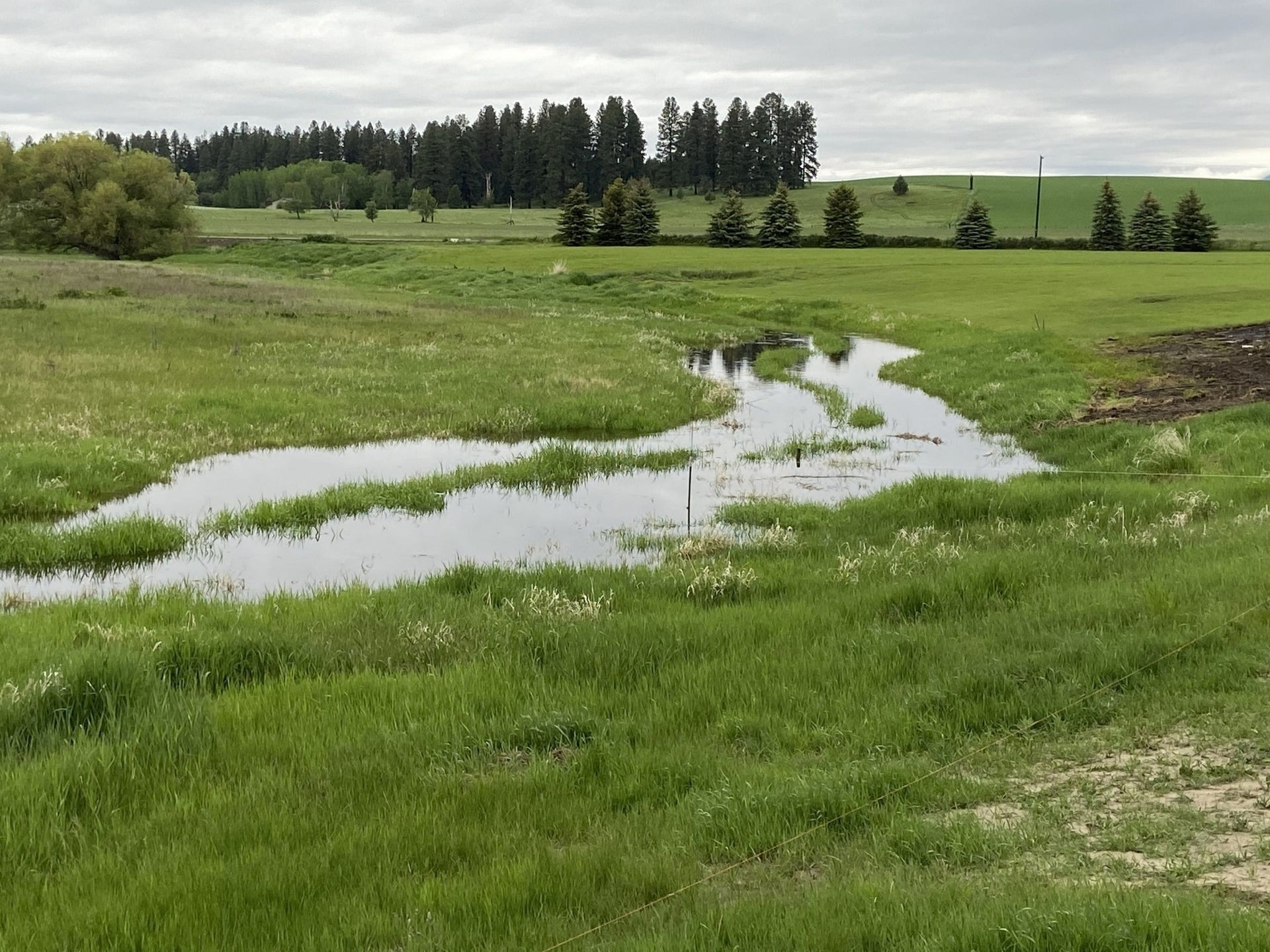148 Fox Den Trail, Kalispell, MT 59901 Creek