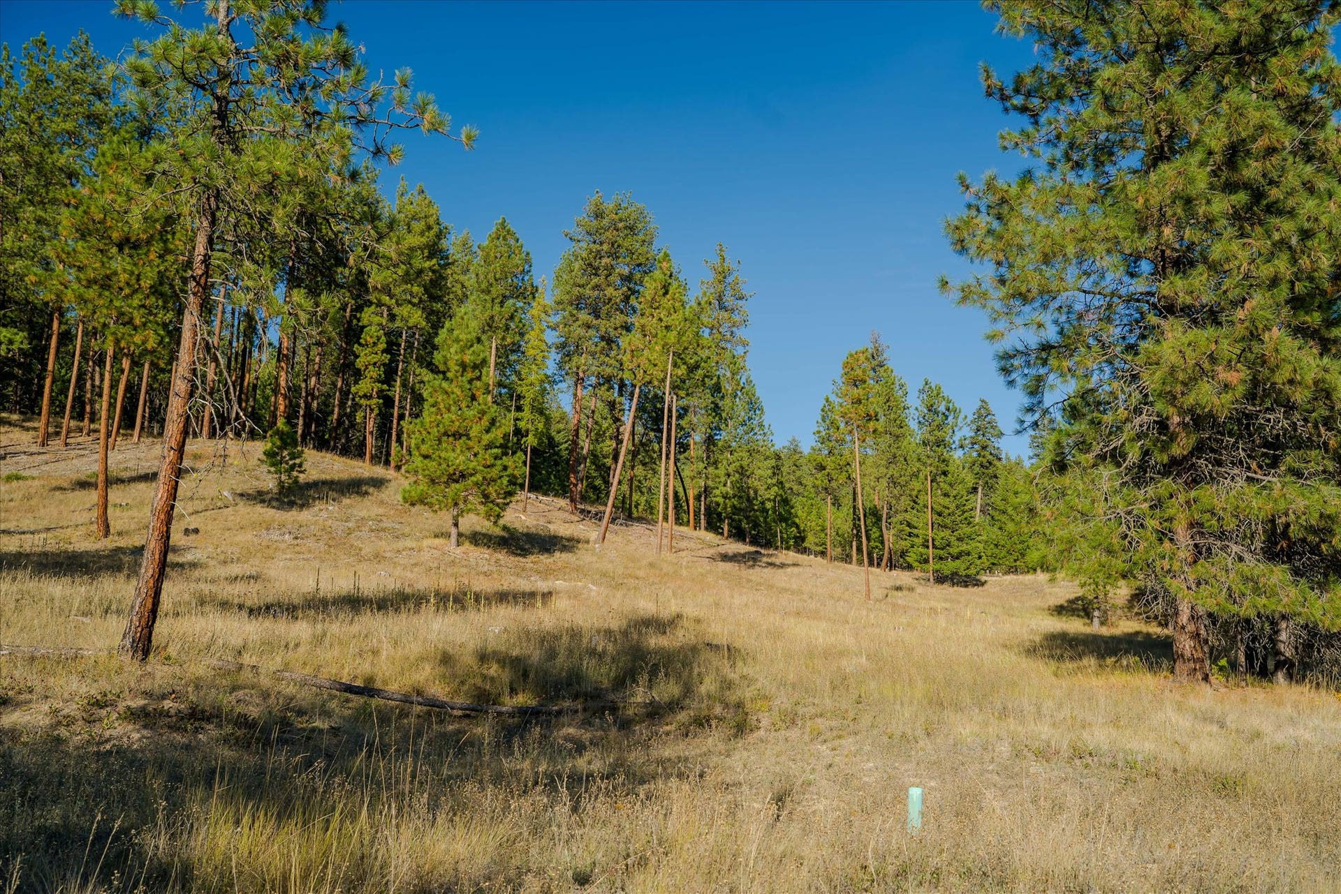 kna Mack Road, Libby, MT 59923 kna Mack Road, Libby, MT 59923
