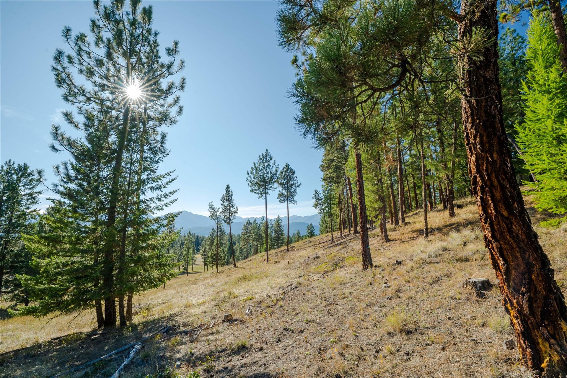 kna Mack Road, Libby, MT 59923 kna Mack Road, Libby, MT 59923