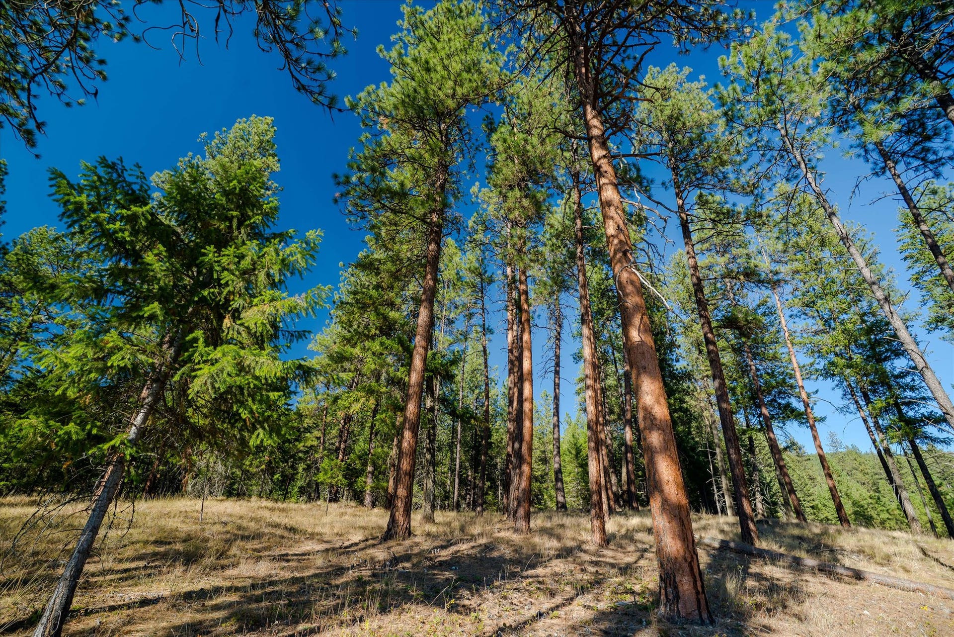 kna Mack Road, Libby, MT 59923 kna Mack Road, Libby, MT 59923