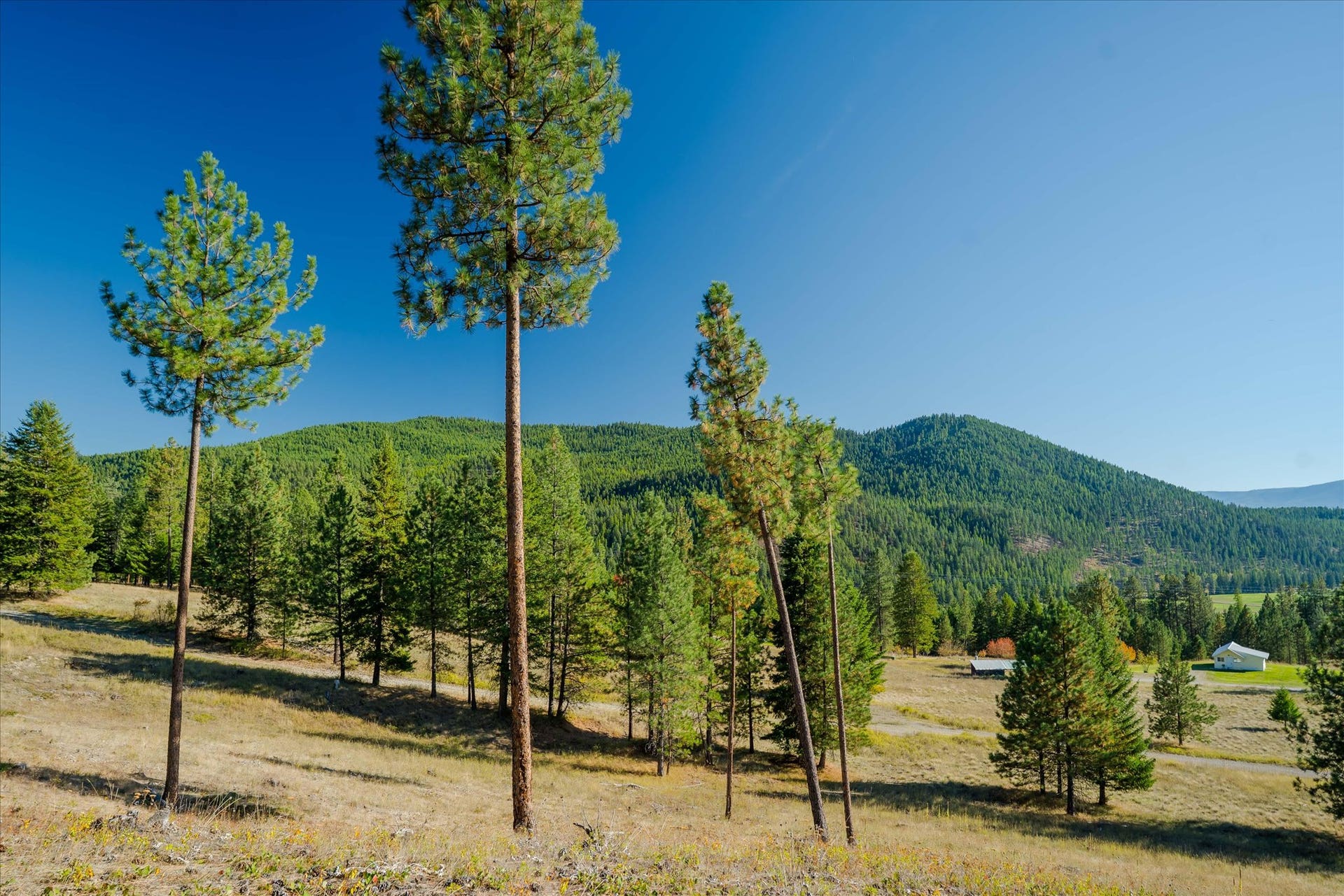 kna Mack Road, Libby, MT 59923 kna Mack Road, Libby, MT 59923