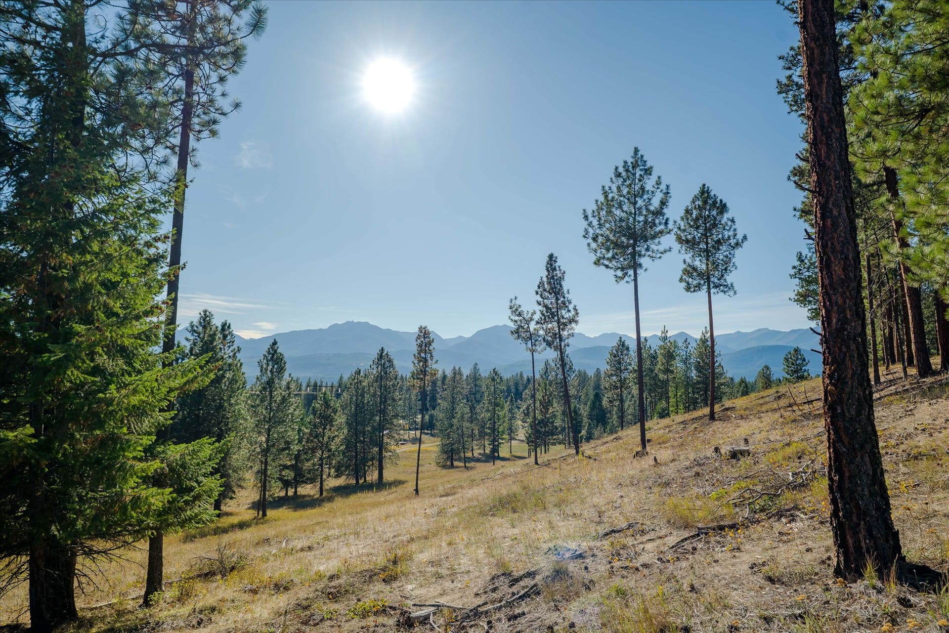 kna Mack Road, Libby, MT 59923 kna Mack Road, Libby, MT 59923