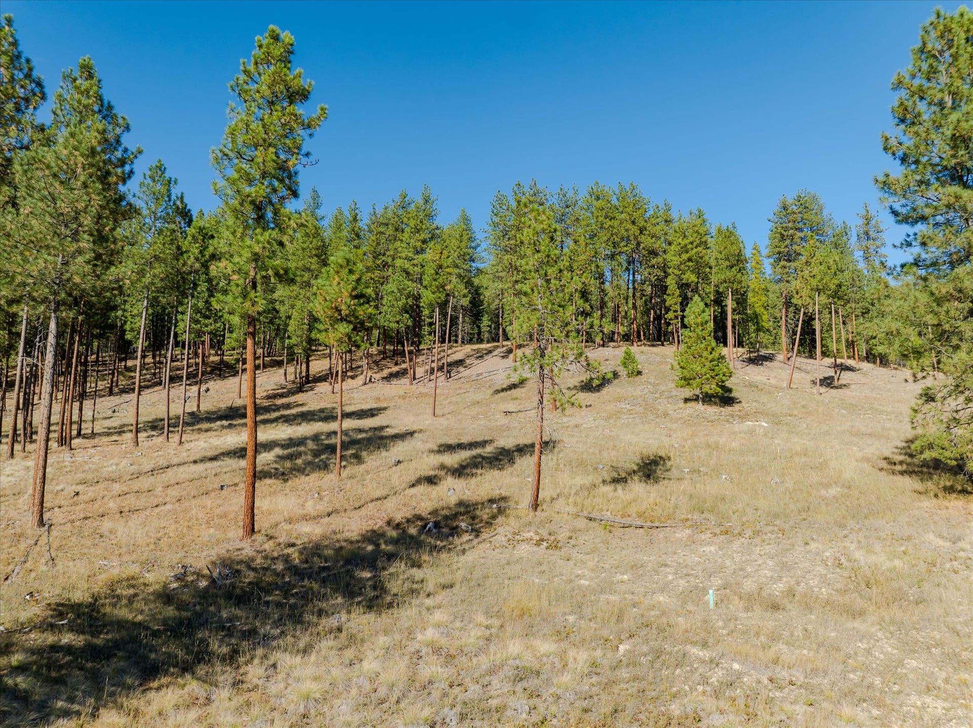 kna Mack Road, Libby, MT 59923 kna Mack Road, Libby, MT 59923