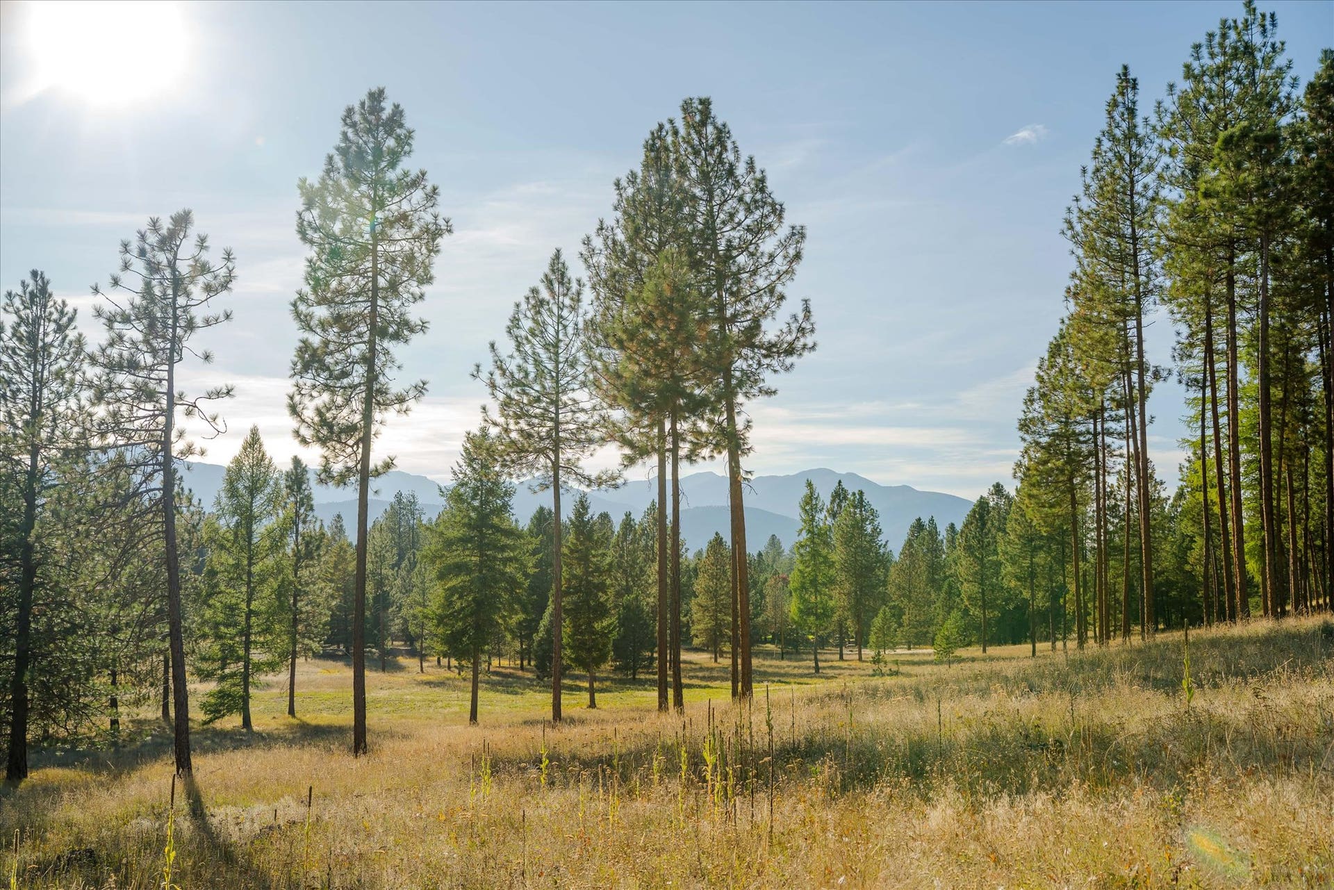 kna Mack Road, Libby, MT 59923 kna Mack Road, Libby, MT 59923