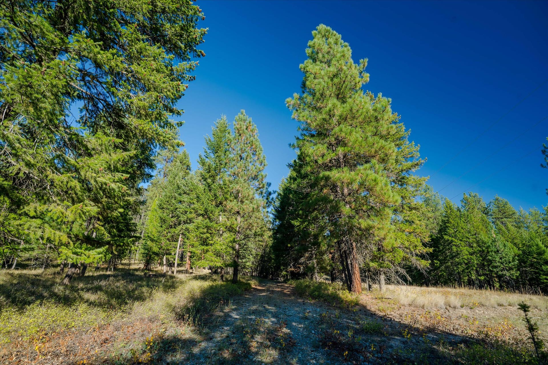 kna Mack Road, Libby, MT 59923 kna Mack Road, Libby, MT 59923
