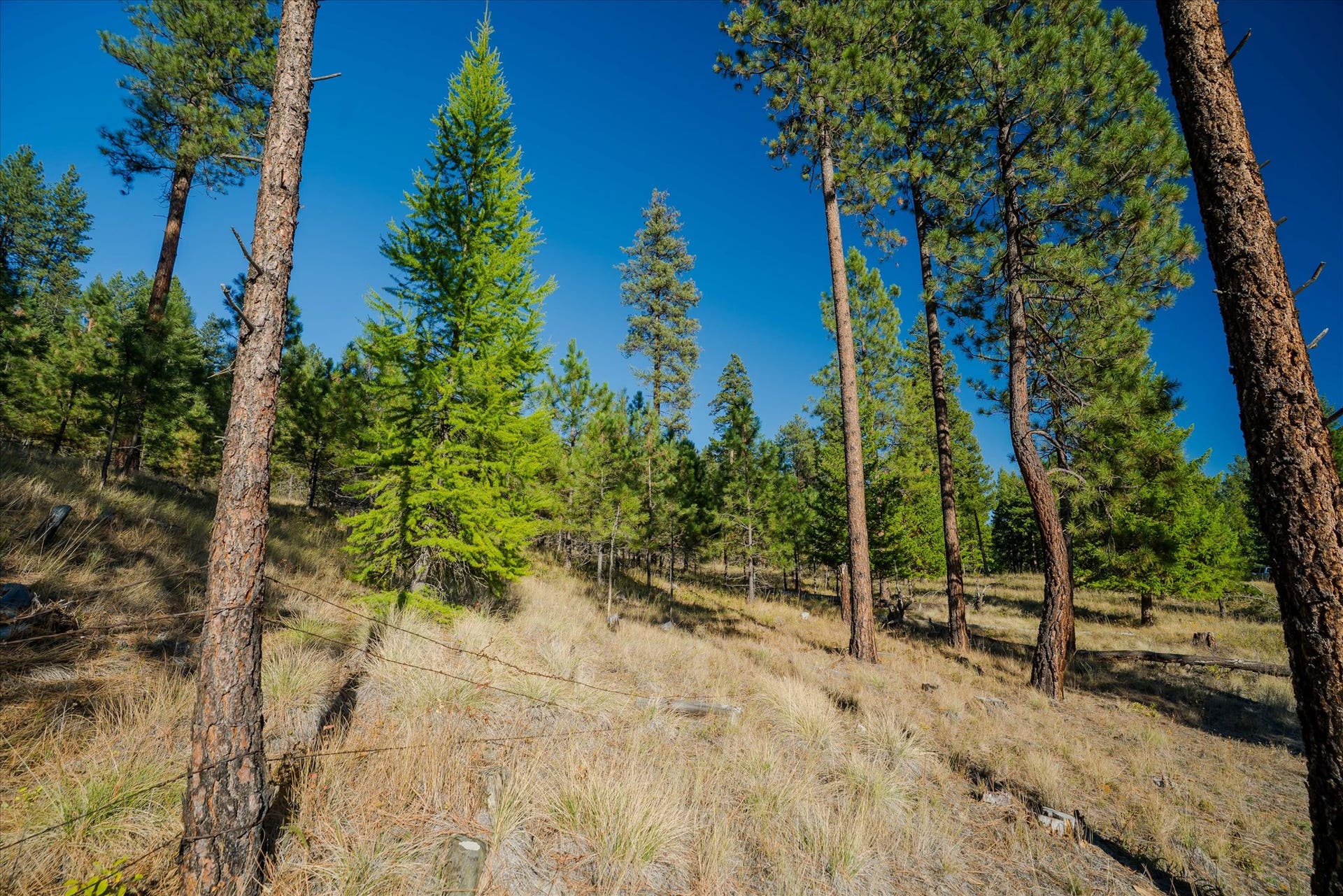 kna Mack Road, Libby, MT 59923 kna Mack Road, Libby, MT 59923