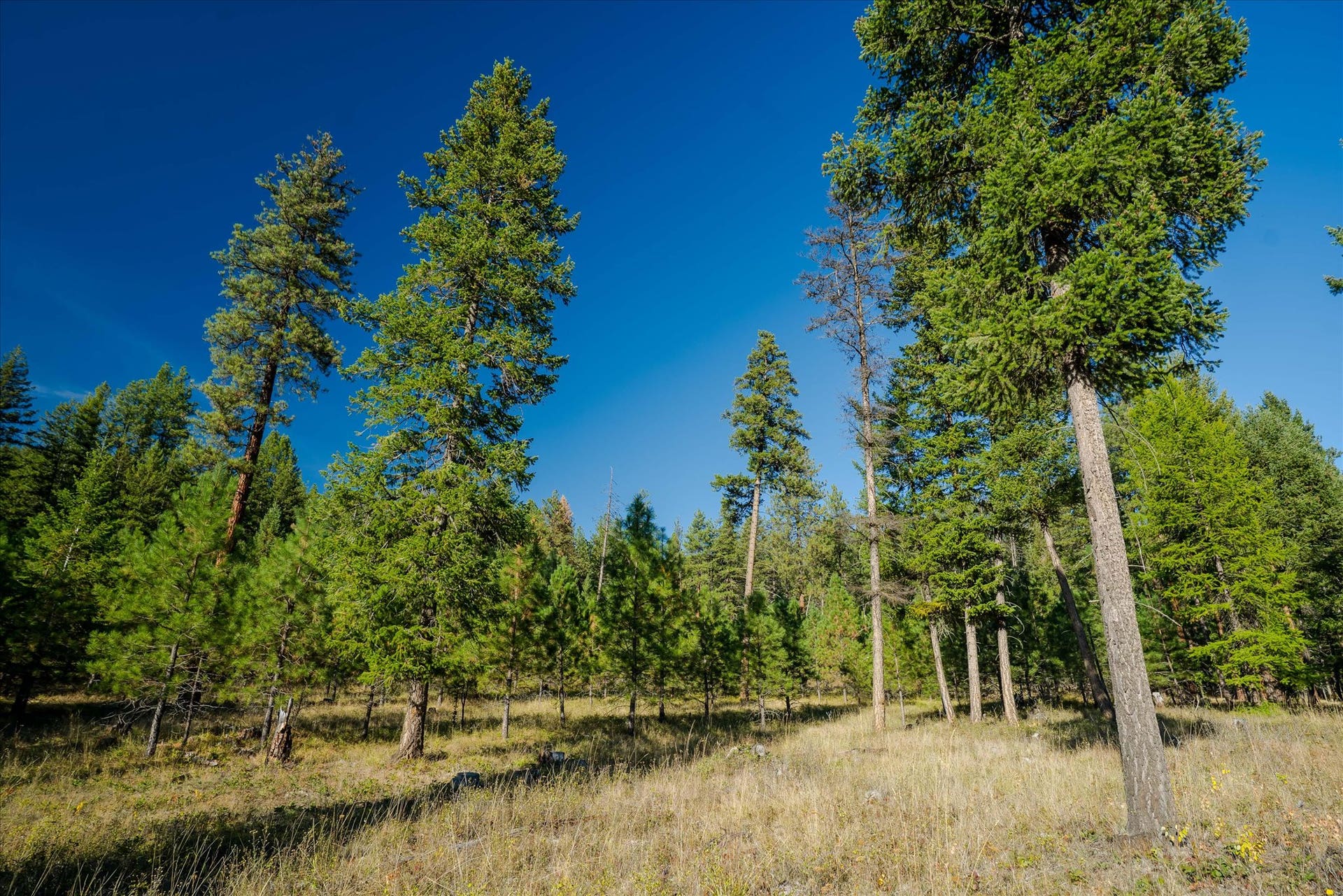 kna Mack Road, Libby, MT 59923 kna Mack Road, Libby, MT 59923
