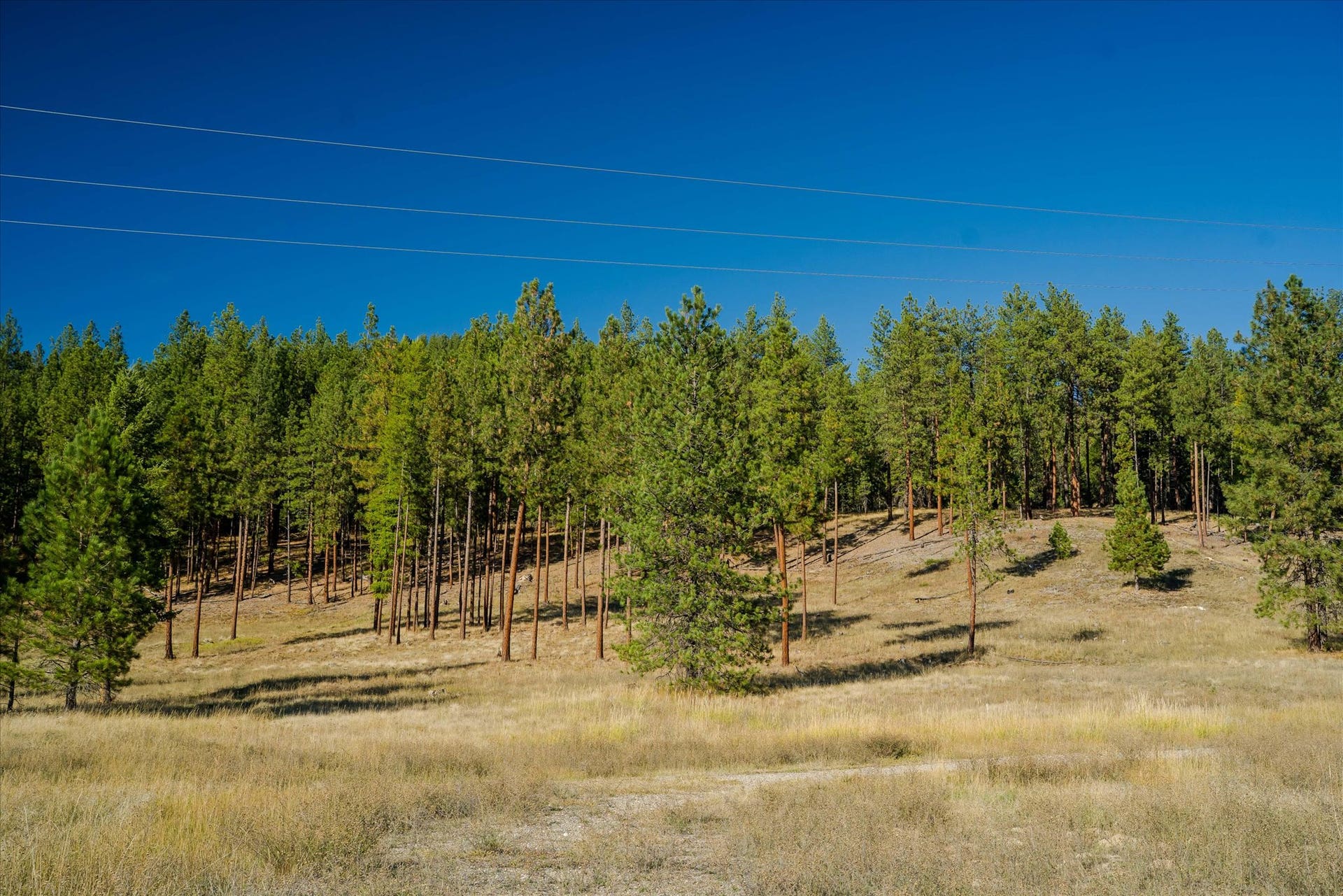 kna Mack Road, Libby, MT 59923 kna Mack Road, Libby, MT 59923