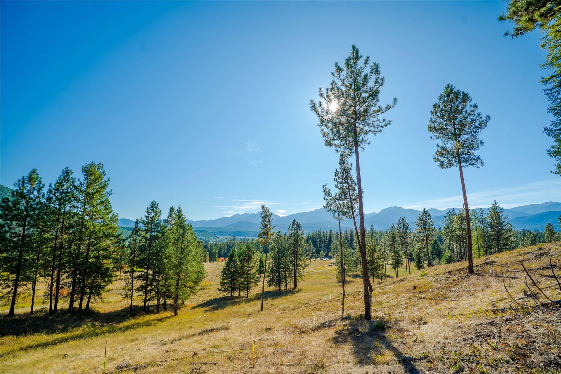 kna Mack Road, Libby, MT 59923 kna Mack Road, Libby, MT 59923