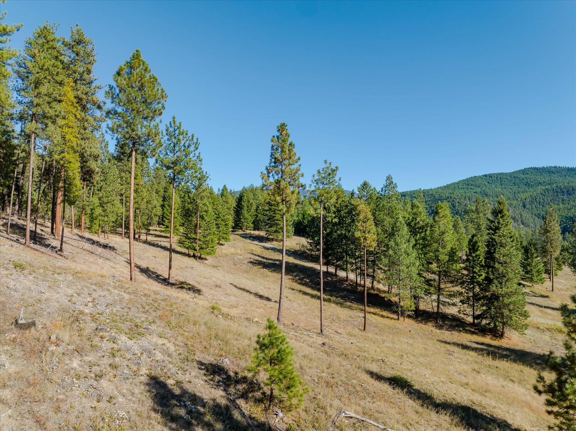 kna Mack Road, Libby, MT 59923 kna Mack Road, Libby, MT 59923