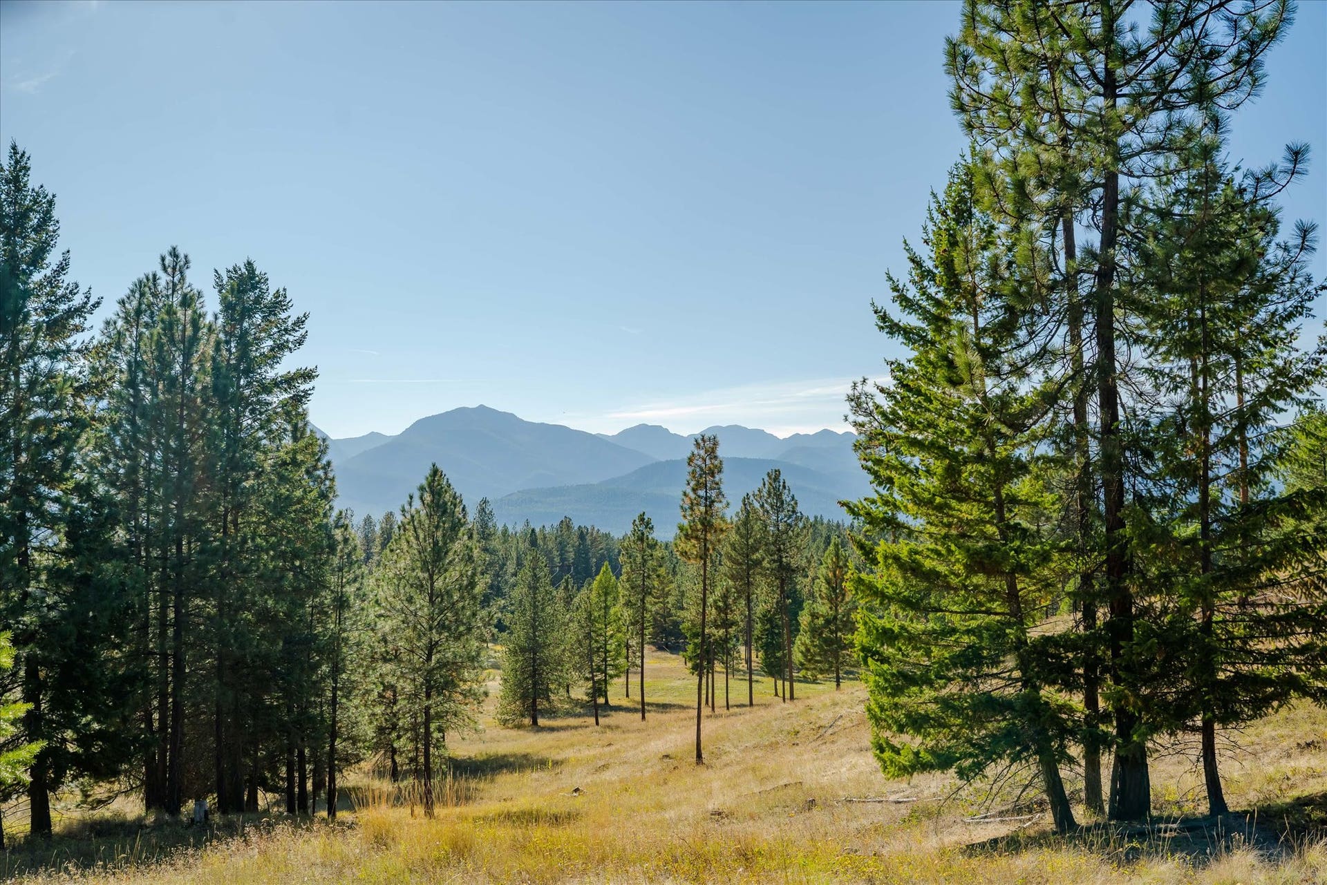 kna Mack Road, Libby, MT 59923 kna Mack Road, Libby, MT 59923