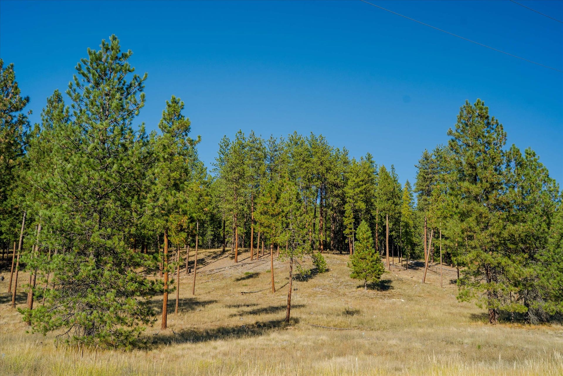 kna Mack Road, Libby, MT 59923 kna Mack Road, Libby, MT 59923