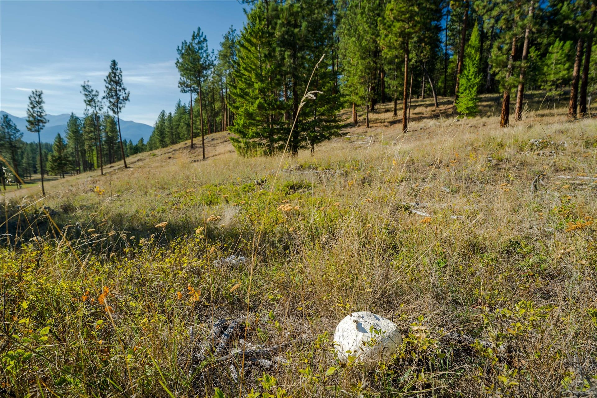kna Mack Road, Libby, MT 59923 kna Mack Road, Libby, MT 59923