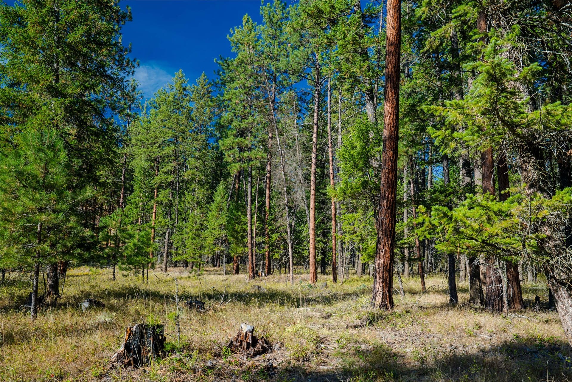 kna Mack Road, Libby, MT 59923 kna Mack Road, Libby, MT 59923