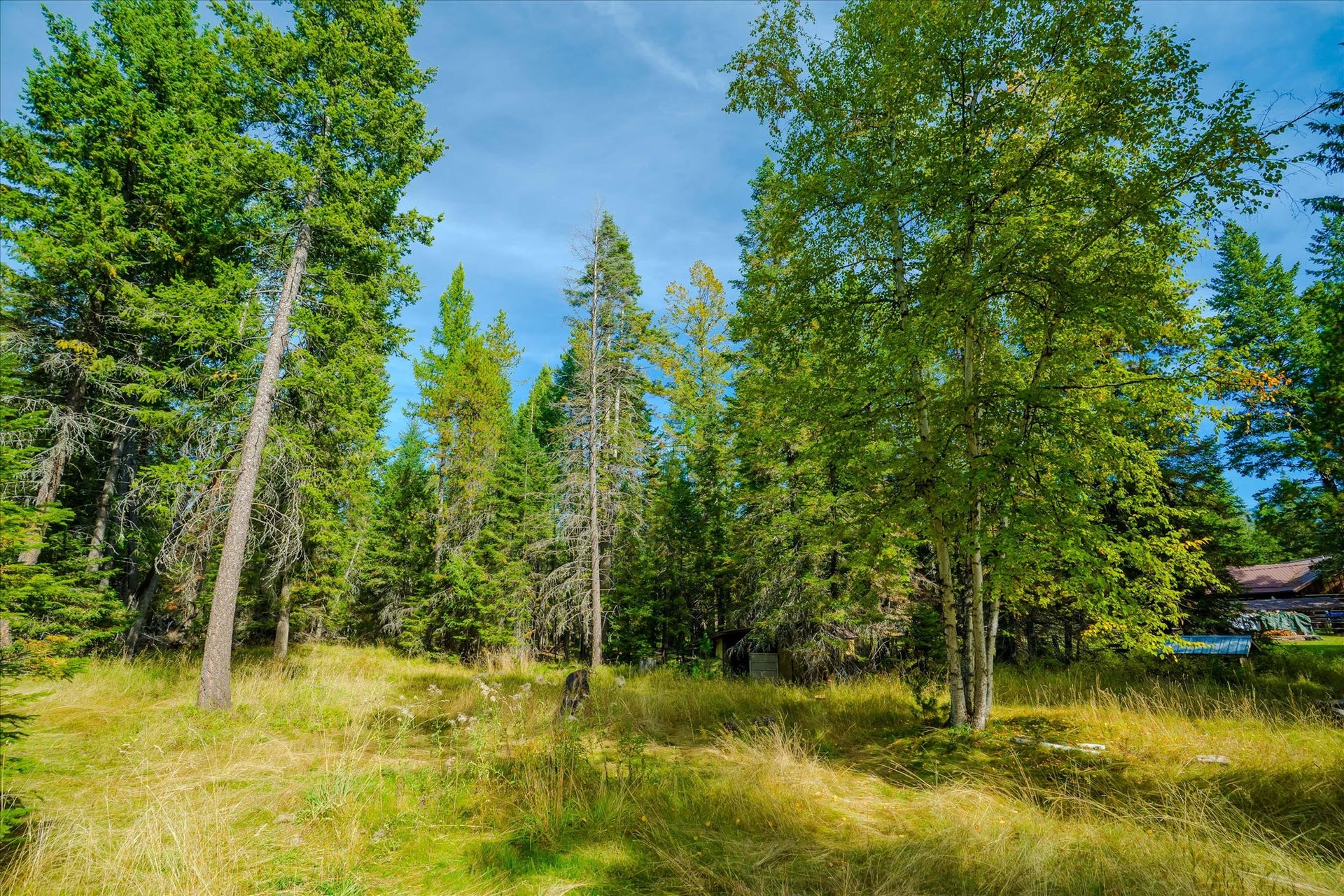 4955 Foothill Road, Bigfork, MT 59911 4955 Foothill Road, Bigfork, MT 59911