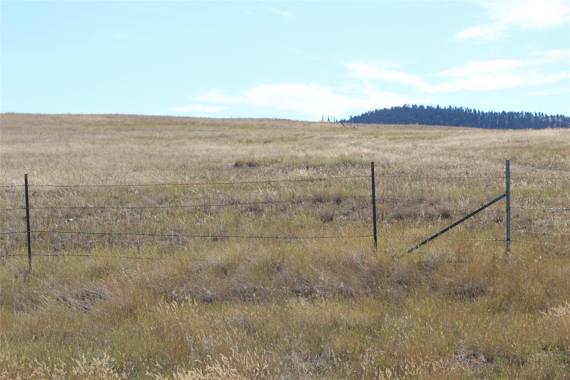 3265 Alice Street, Helena, MT 59601 3265 Alice Street, Helena, MT 59601