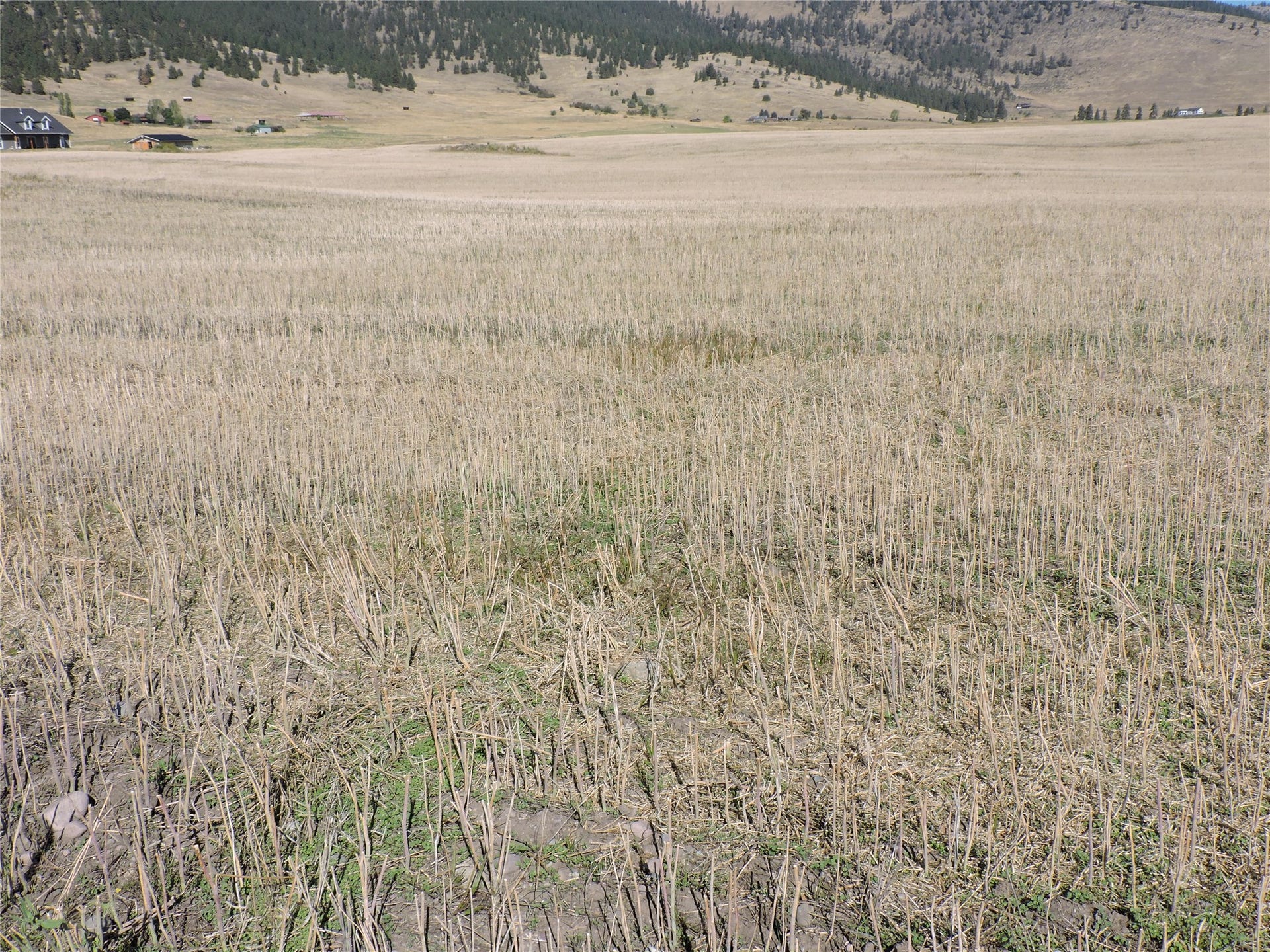 NHN Tower Road, Polson, MT 59860