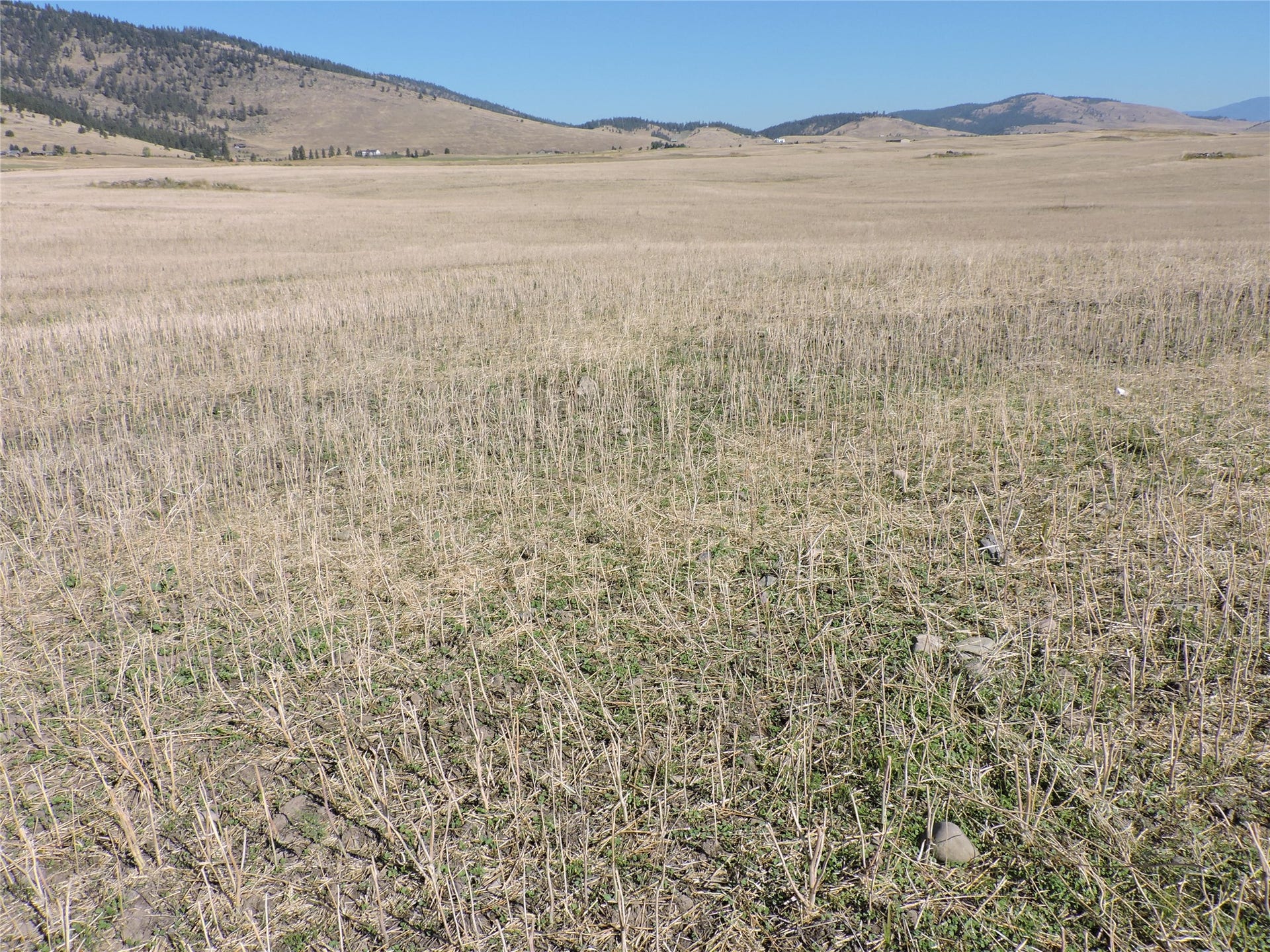 NHN Tower Road, Polson, MT 59860