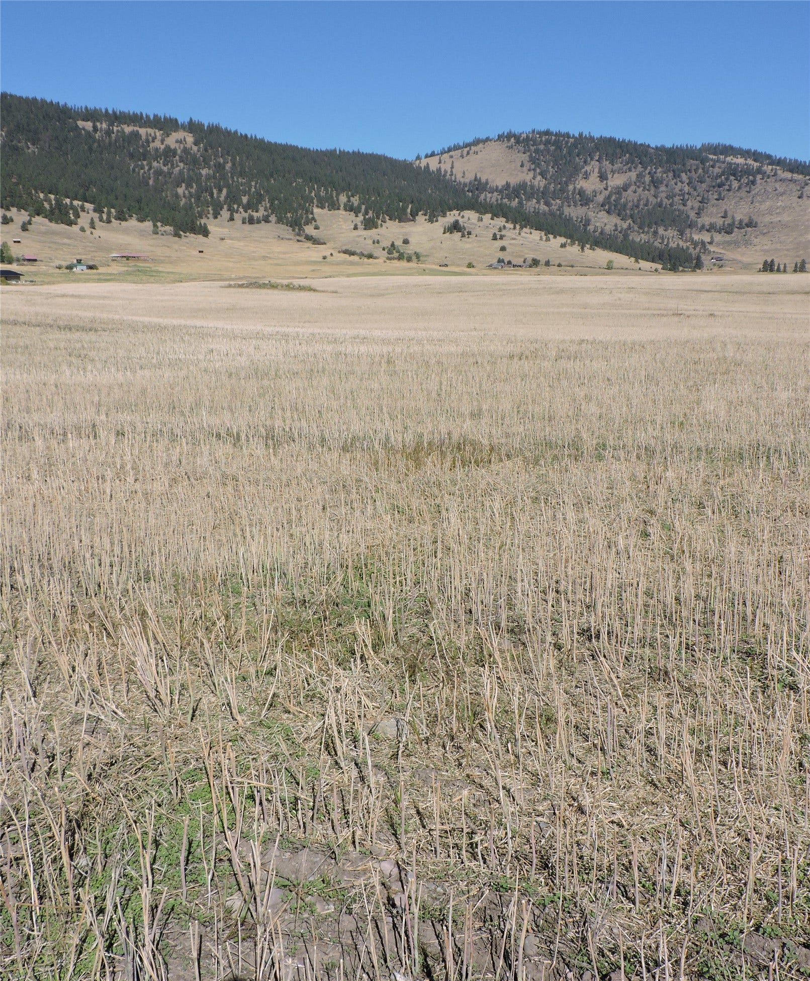 NHN Tower Road, Polson, MT 59860