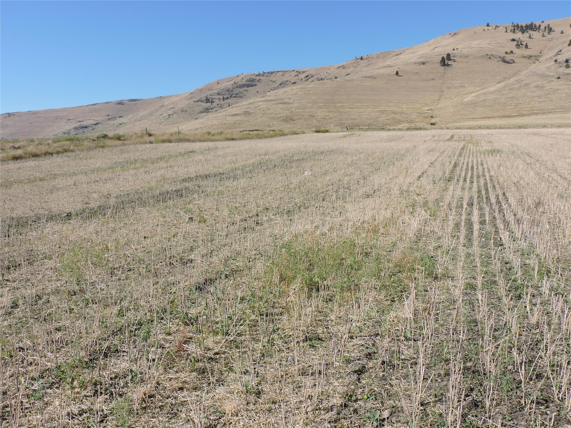 NHN Tower Road, Polson, MT 59860