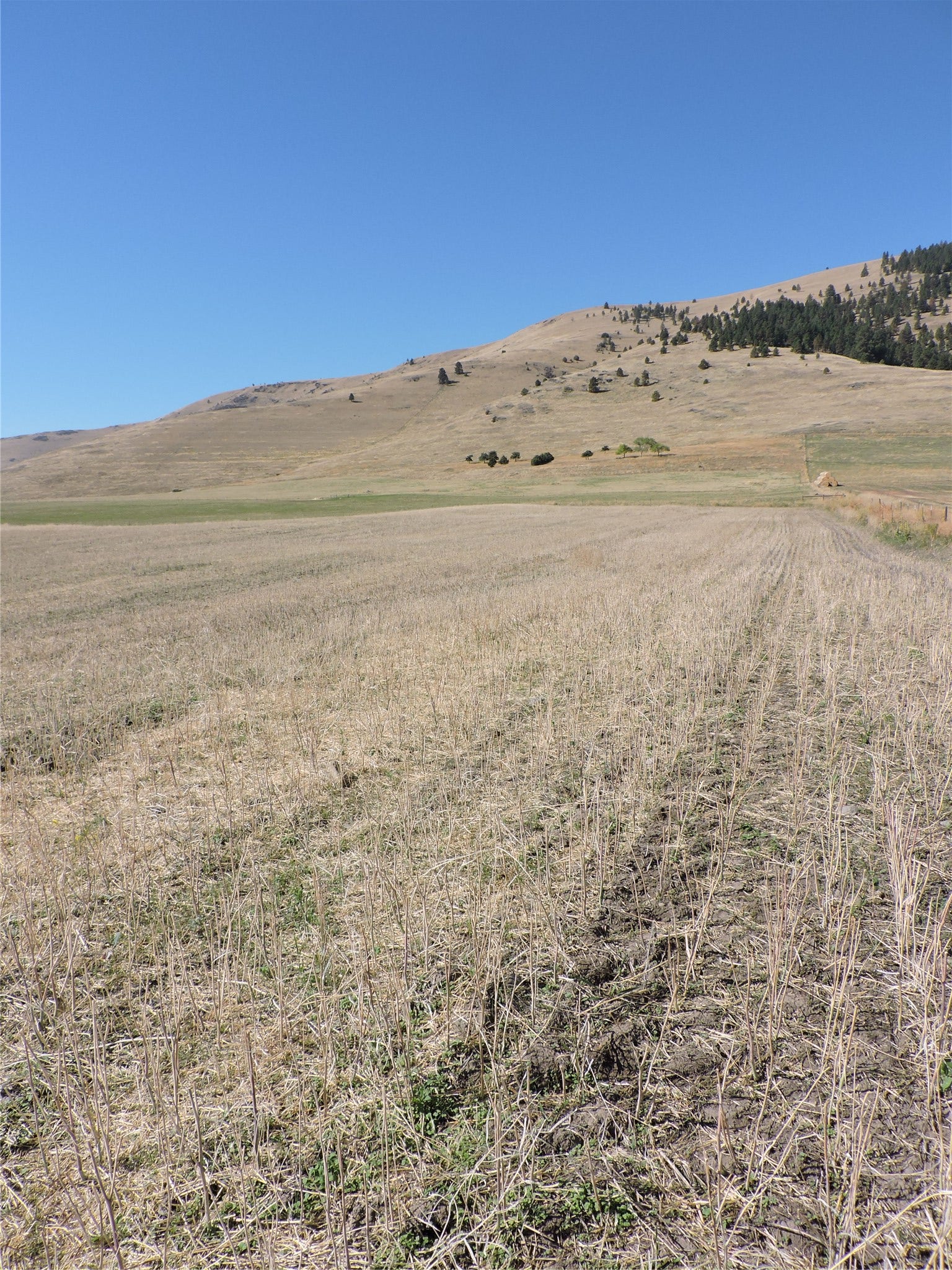 NHN Tower Road, Polson, MT 59860 NHN Tower Road, Polson, MT 59860